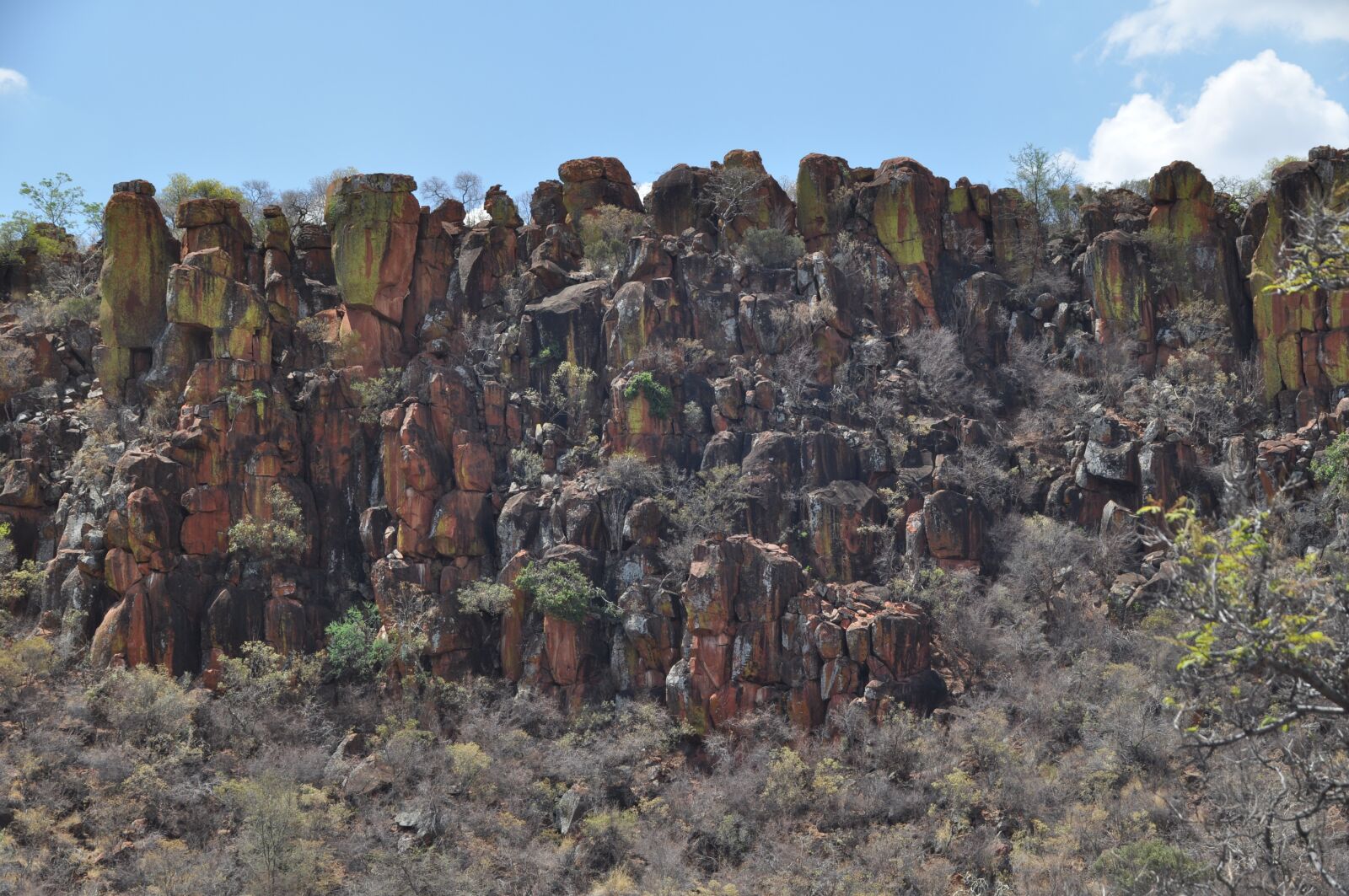 Nikon D5000 sample photo. Namibia, desert, travel photography