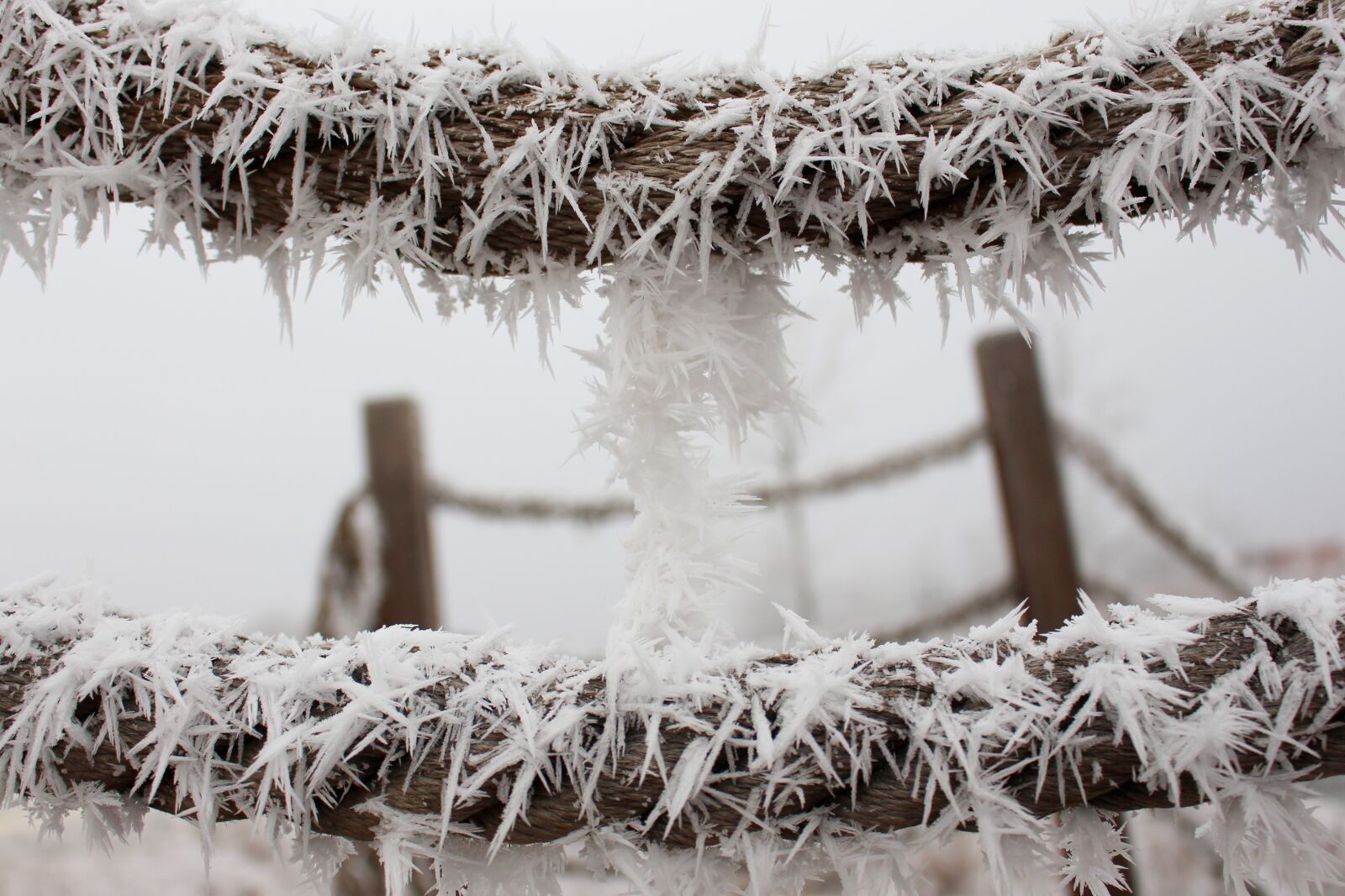 Canon EOS 700D (EOS Rebel T5i / EOS Kiss X7i) sample photo. Rope, frost, ice photography