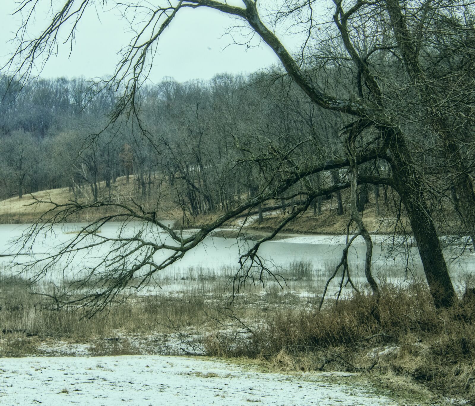 Nikon D850 sample photo. Lake, water, scenic photography