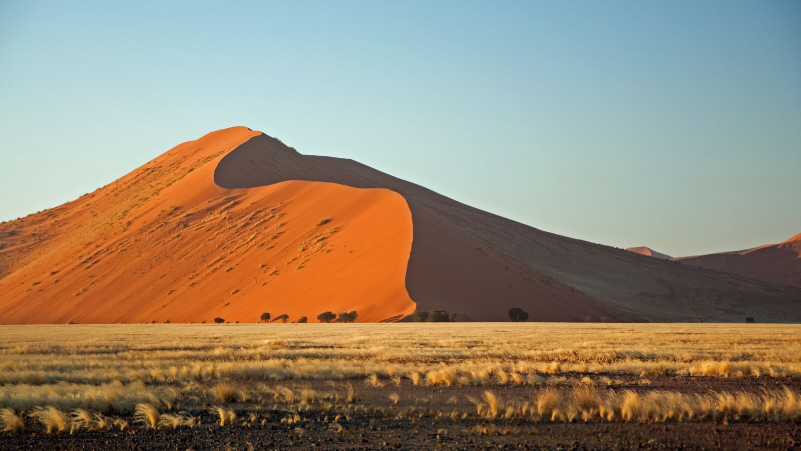Nikon D90 sample photo. Desert, sand, red photography