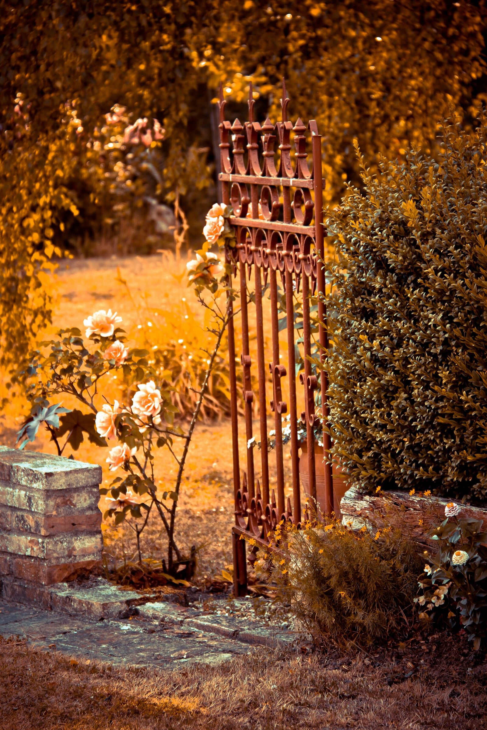 Canon EOS 70D sample photo. Portal, door, fall photography