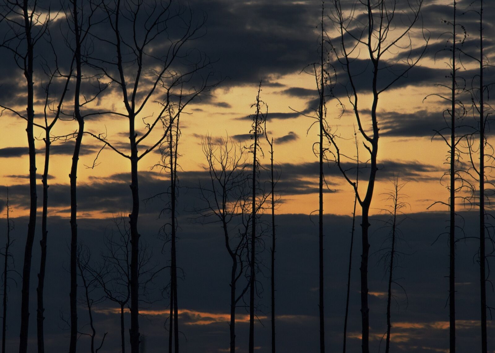 Nikon D800E sample photo. Sunset, scenic, landscape photography