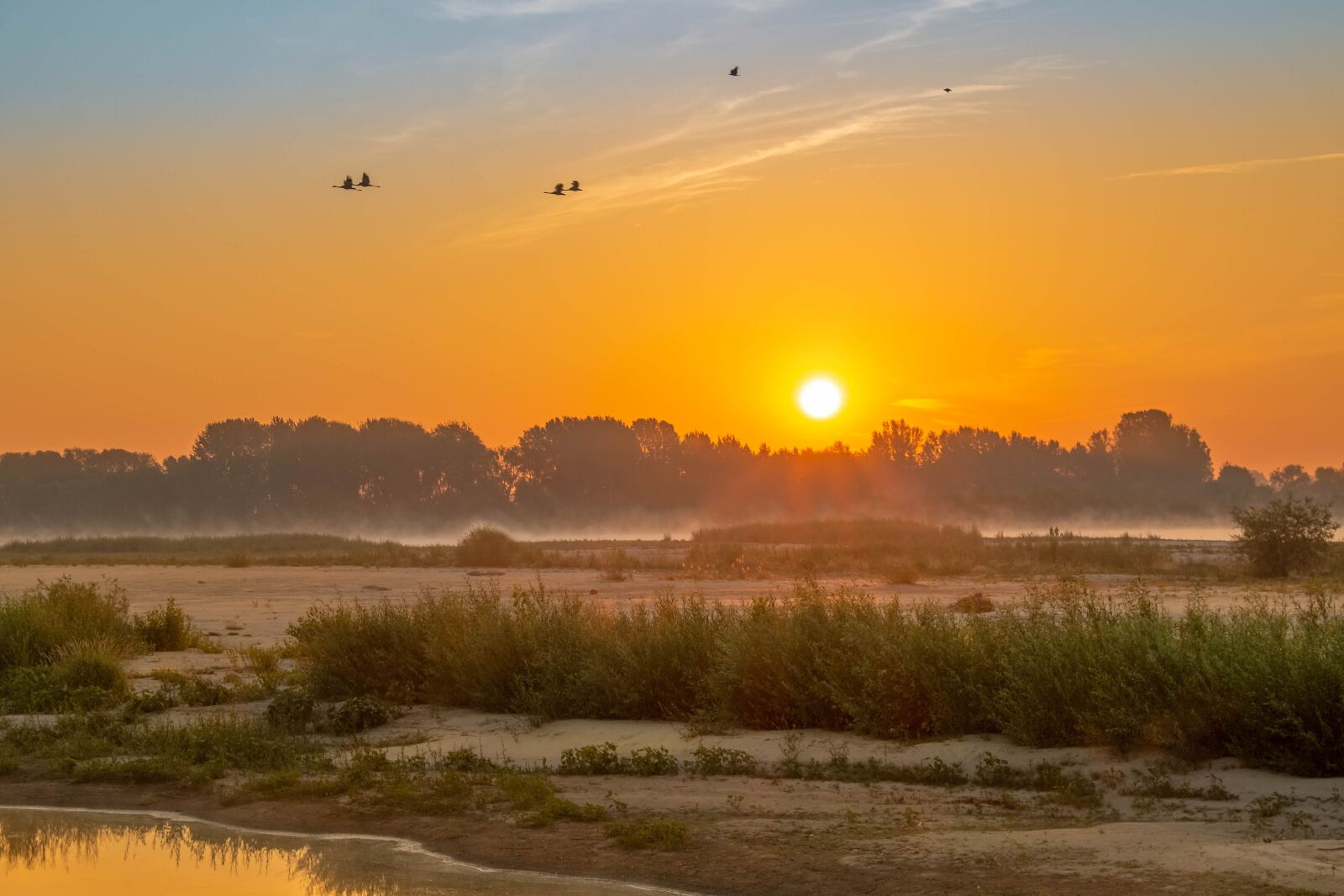 Canon EOS 700D (EOS Rebel T5i / EOS Kiss X7i) sample photo. Wisla, sunrise, morning photography
