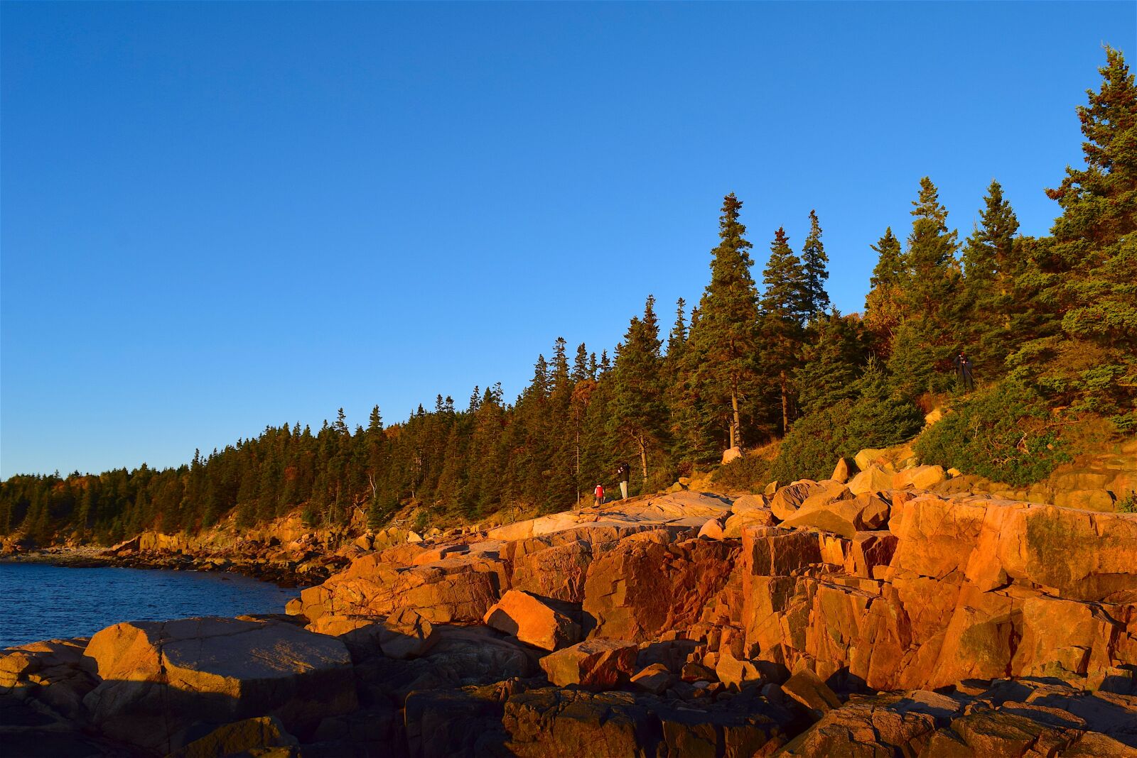 Nikon D3300 sample photo. Sunset, trees, rocks photography