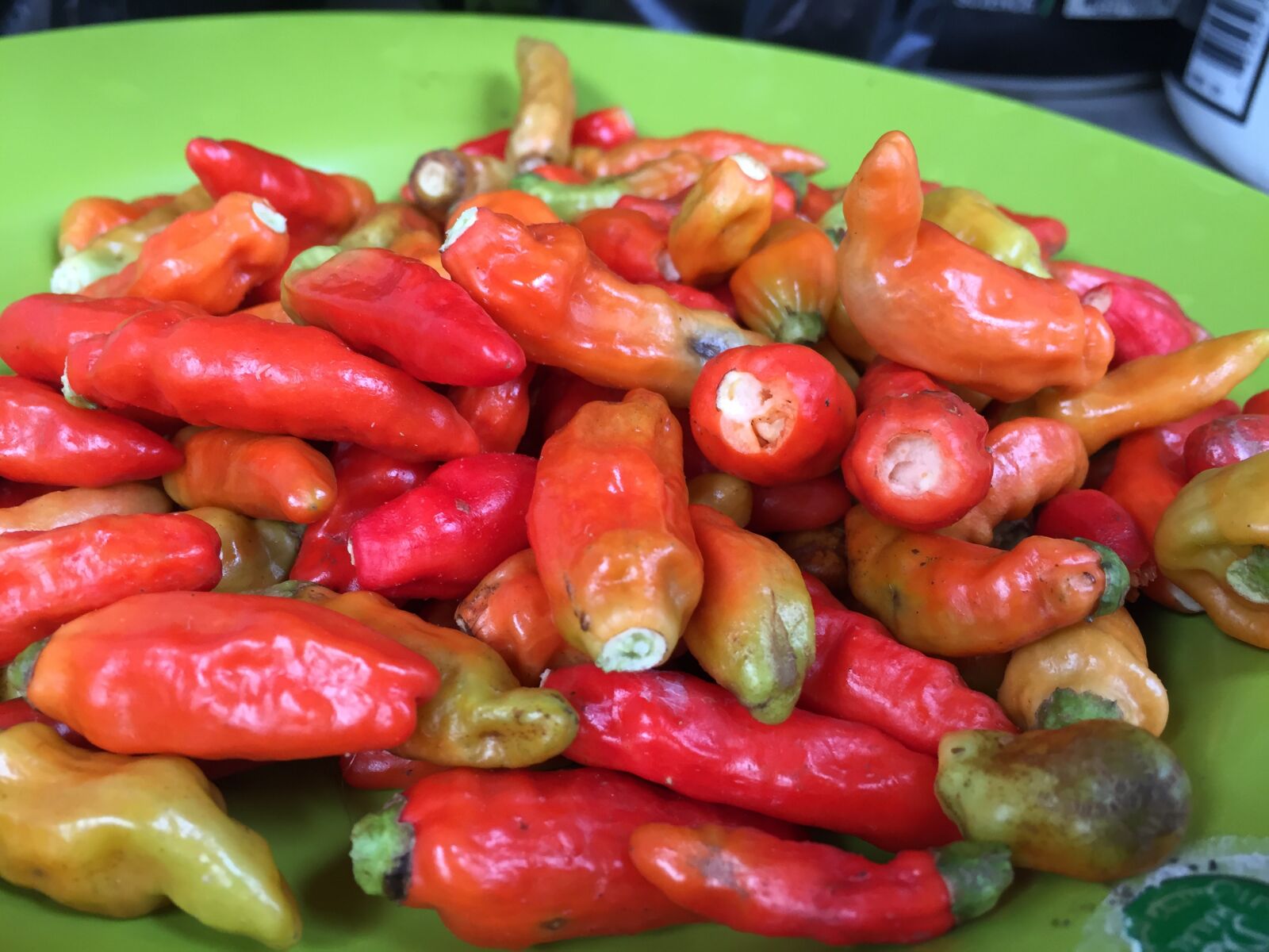 iPhone 6 back camera 4.15mm f/2.2 sample photo. Chili, hot chili, cooking photography