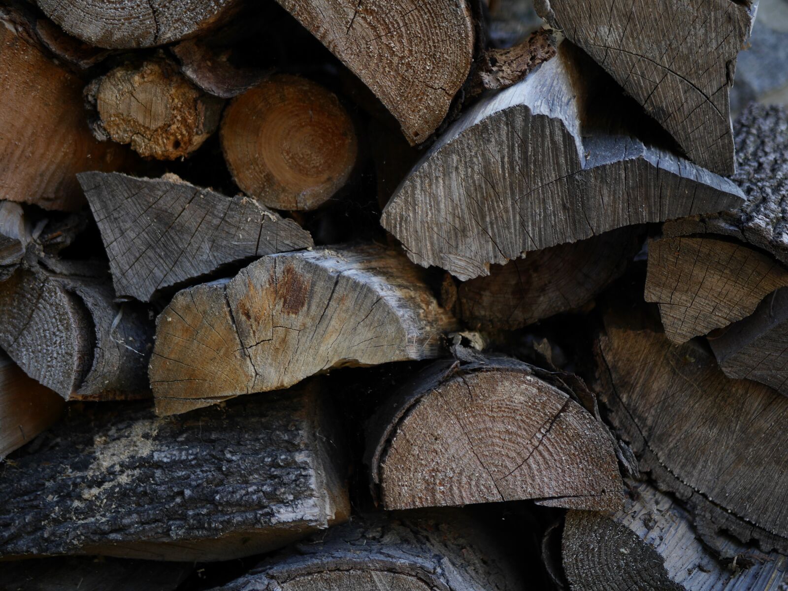 Panasonic Lumix DMC-GH3 sample photo. Firewood, wood, timber photography