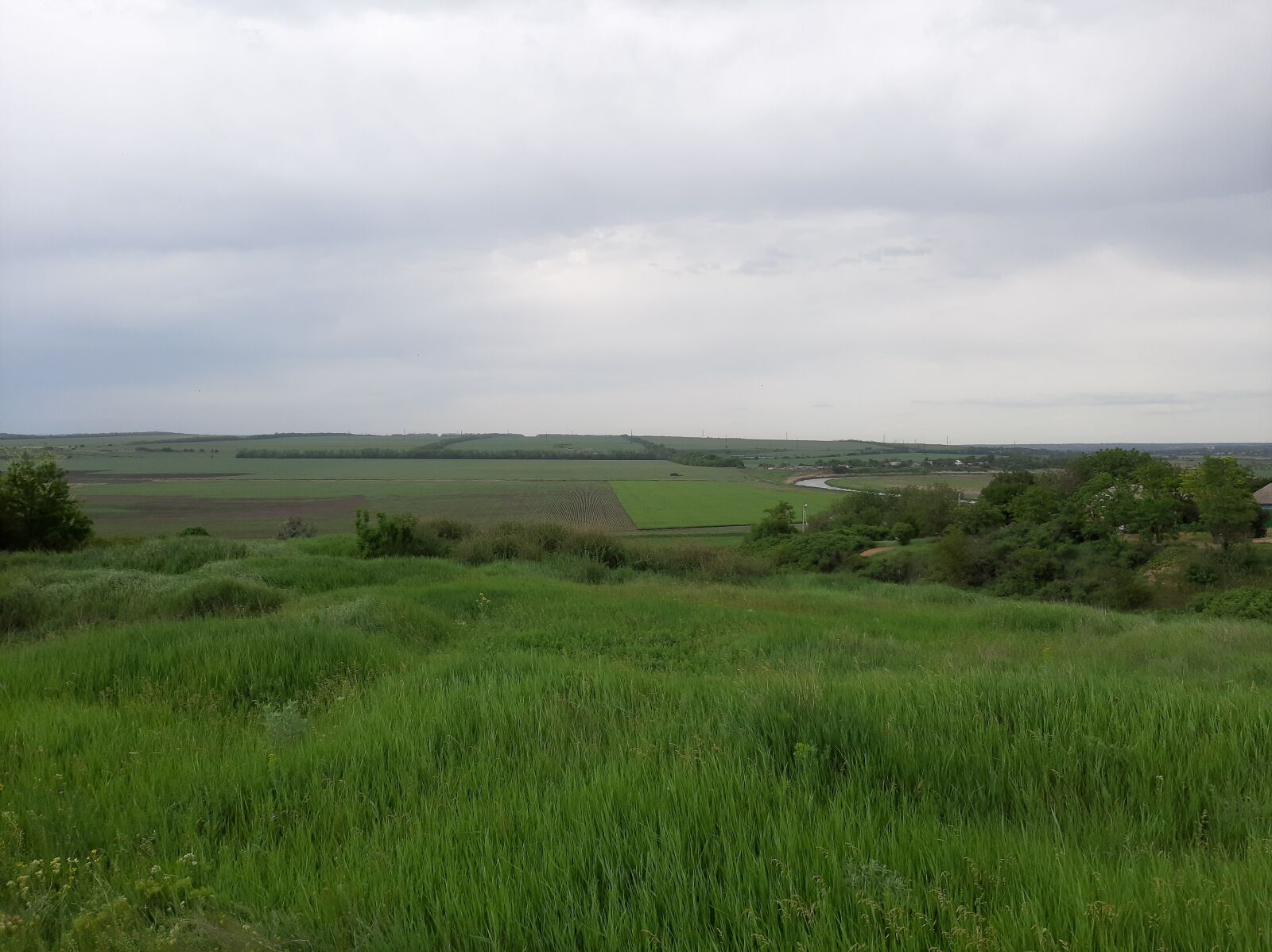 Samsung Galaxy A50 sample photo. Field, meadow, grass photography