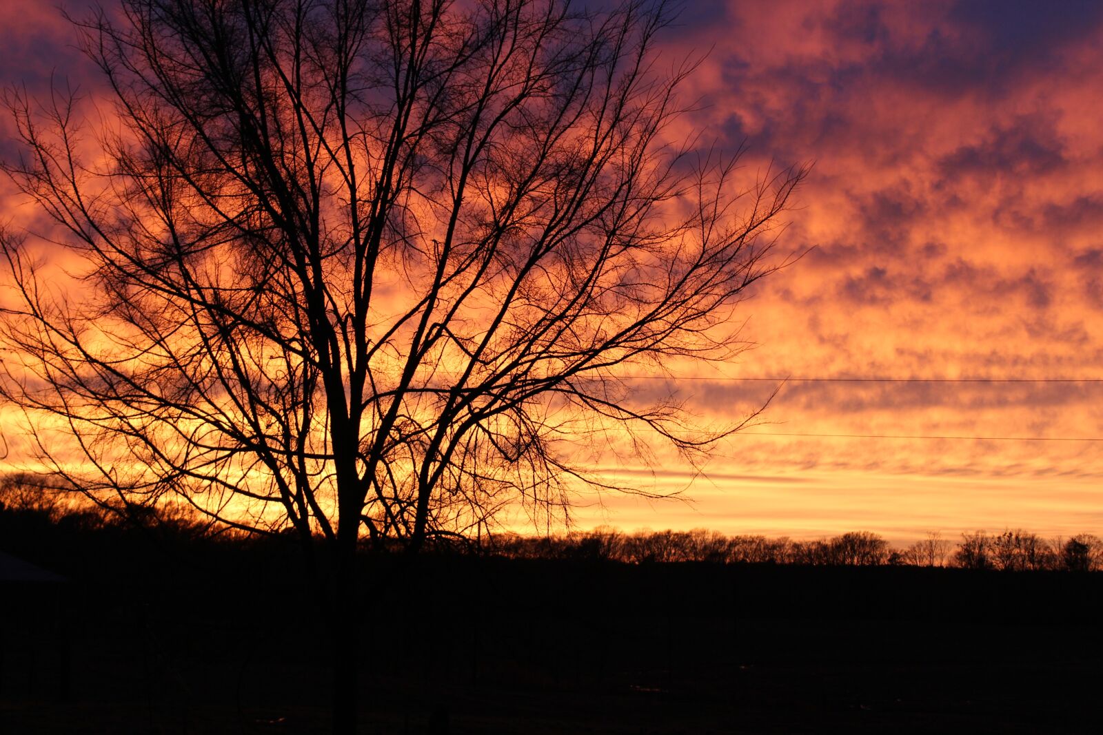 Canon EOS 600D (Rebel EOS T3i / EOS Kiss X5) sample photo. Sunset, fall, autumn photography