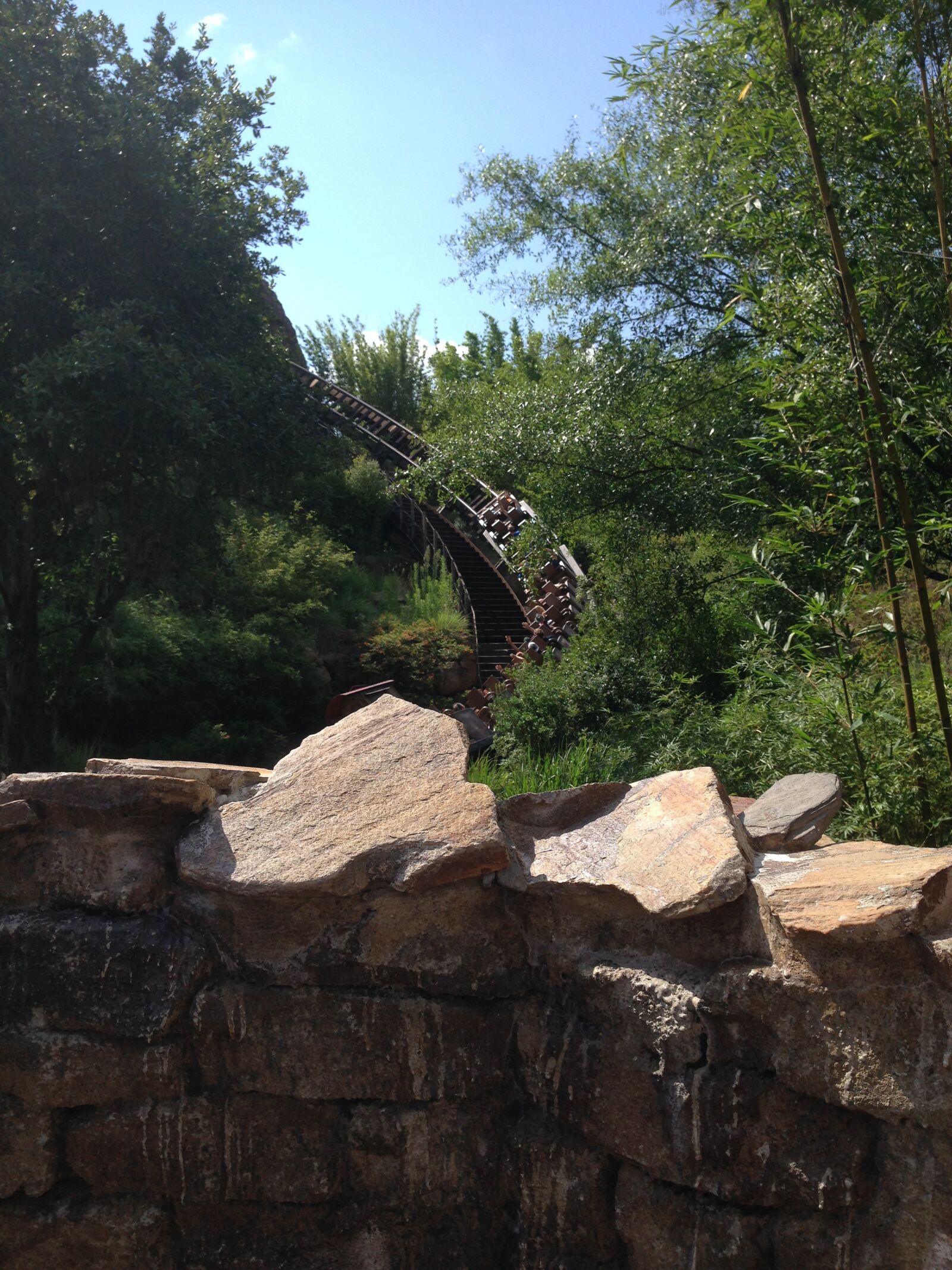 iPhone 5 back camera 4.12mm f/2.4 sample photo. Trees, rocks, rollercoaster photography