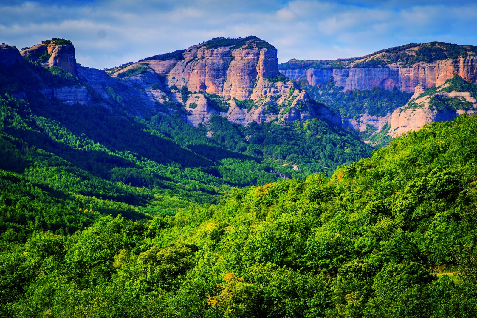 Nikon D610 sample photo. Valley, forest, trees photography