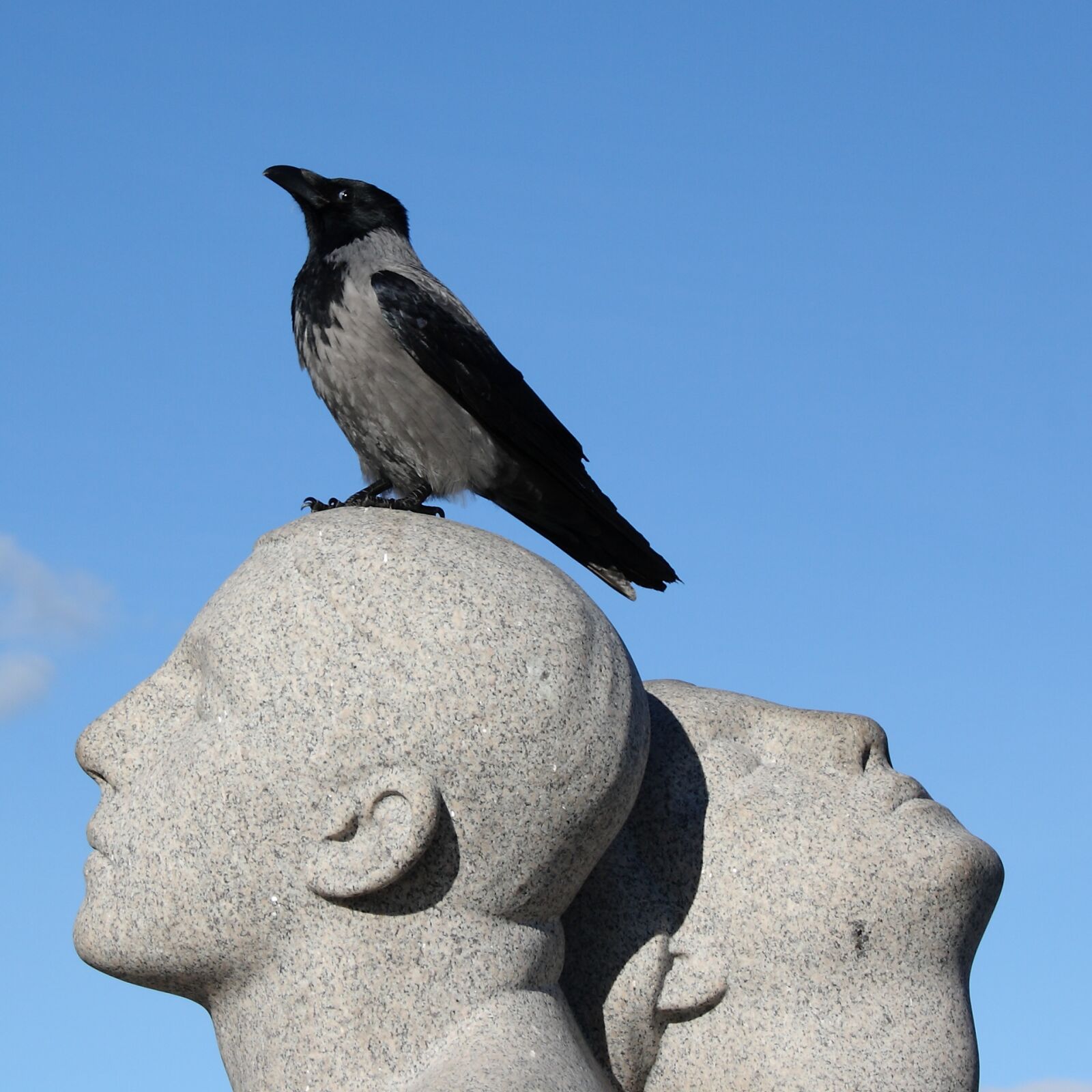 Canon EOS 400D (EOS Digital Rebel XTi / EOS Kiss Digital X) sample photo. Norway, oslo, vigeland park photography