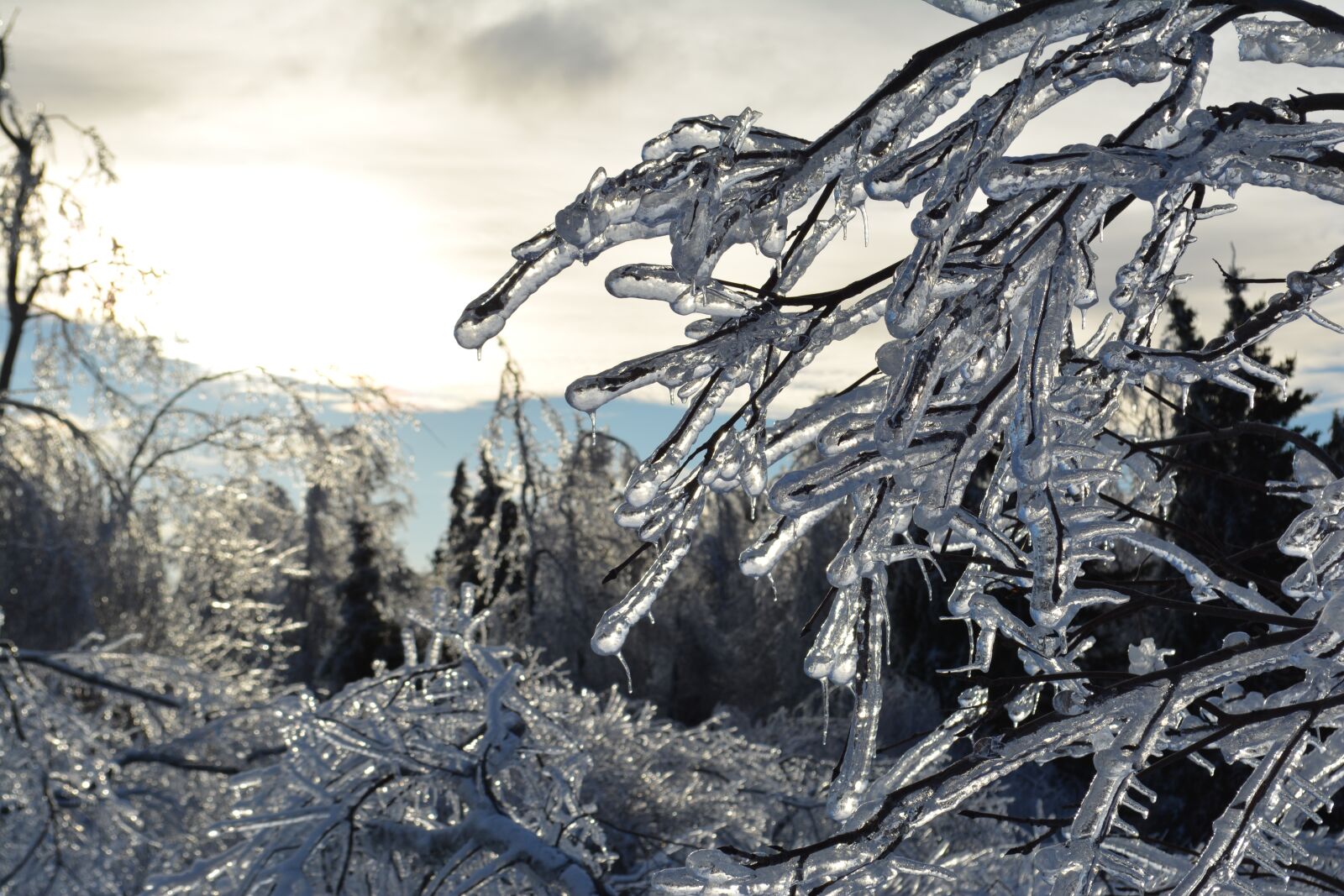 Nikon D5200 sample photo. Winter, canada, ice photography