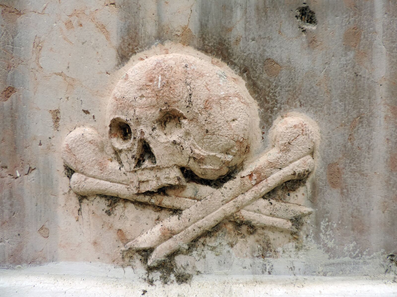Nikon Coolpix P520 sample photo. Bones, marble, skull, old photography