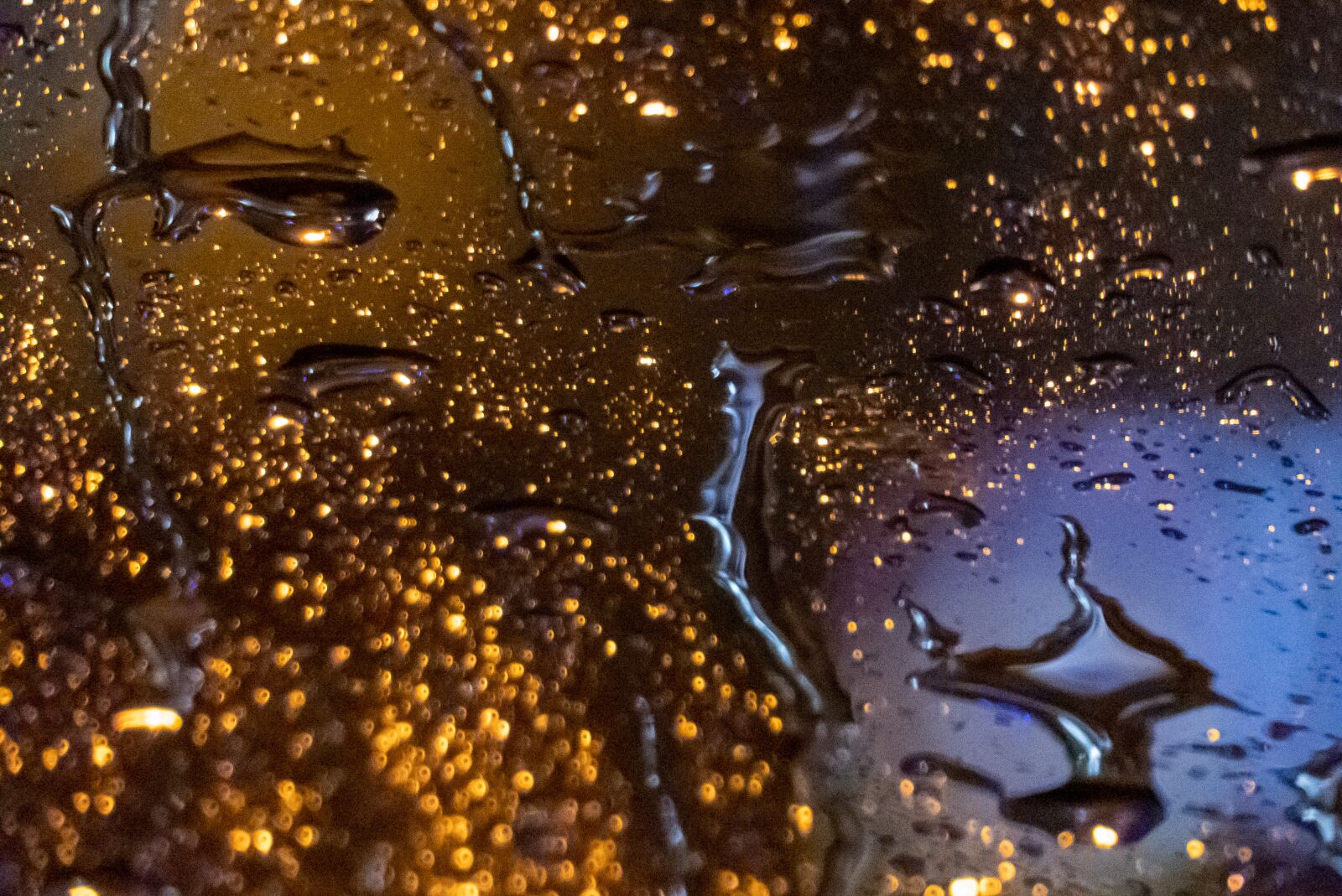 Panasonic Lumix DMC-FZ300 sample photo. Rain, drip, drop of photography