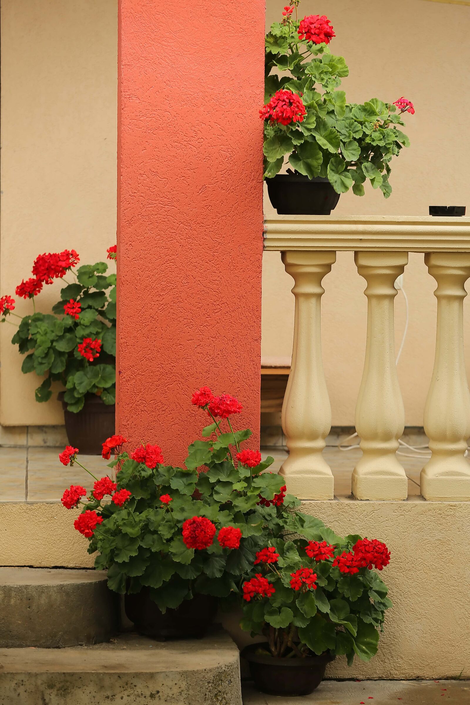 Canon EF 70-200mm F2.8L IS II USM sample photo. Flowerpot, fence, front porch photography