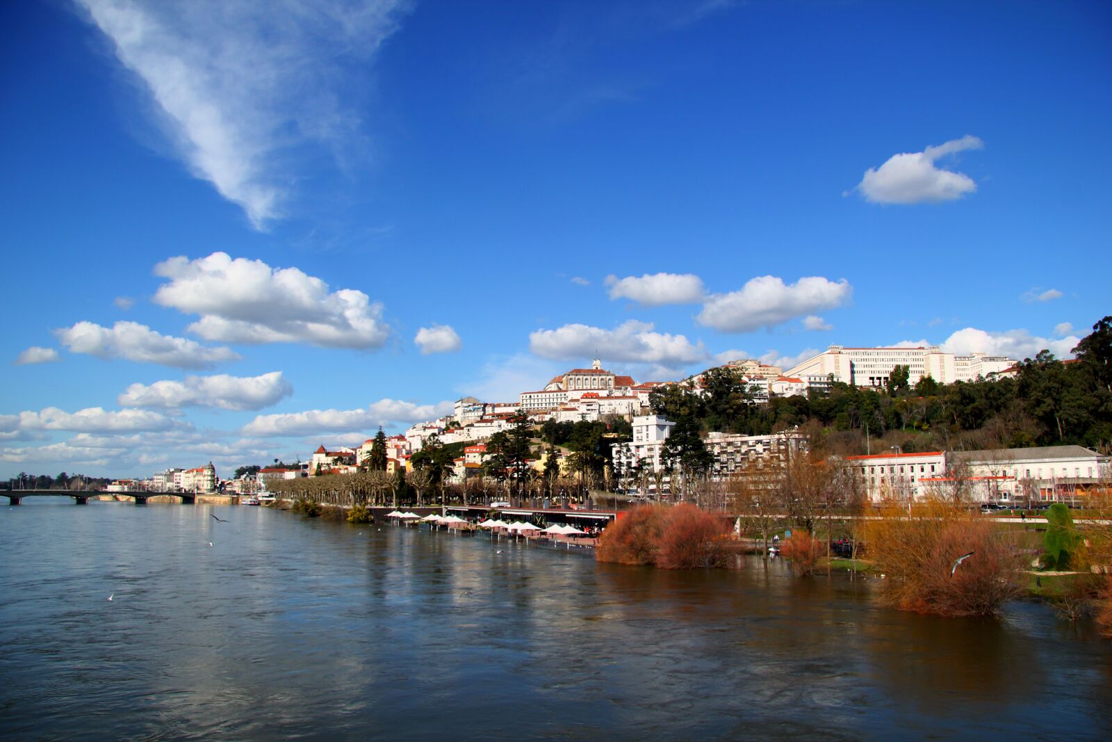 Canon EOS 550D (EOS Rebel T2i / EOS Kiss X4) sample photo. Coimbra, mondego, portugal photography