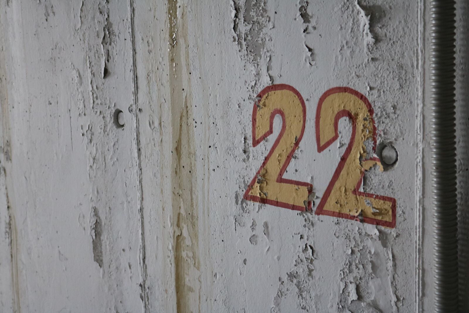 Canon EOS 750D (EOS Rebel T6i / EOS Kiss X8i) sample photo. Old, number, 22 photography
