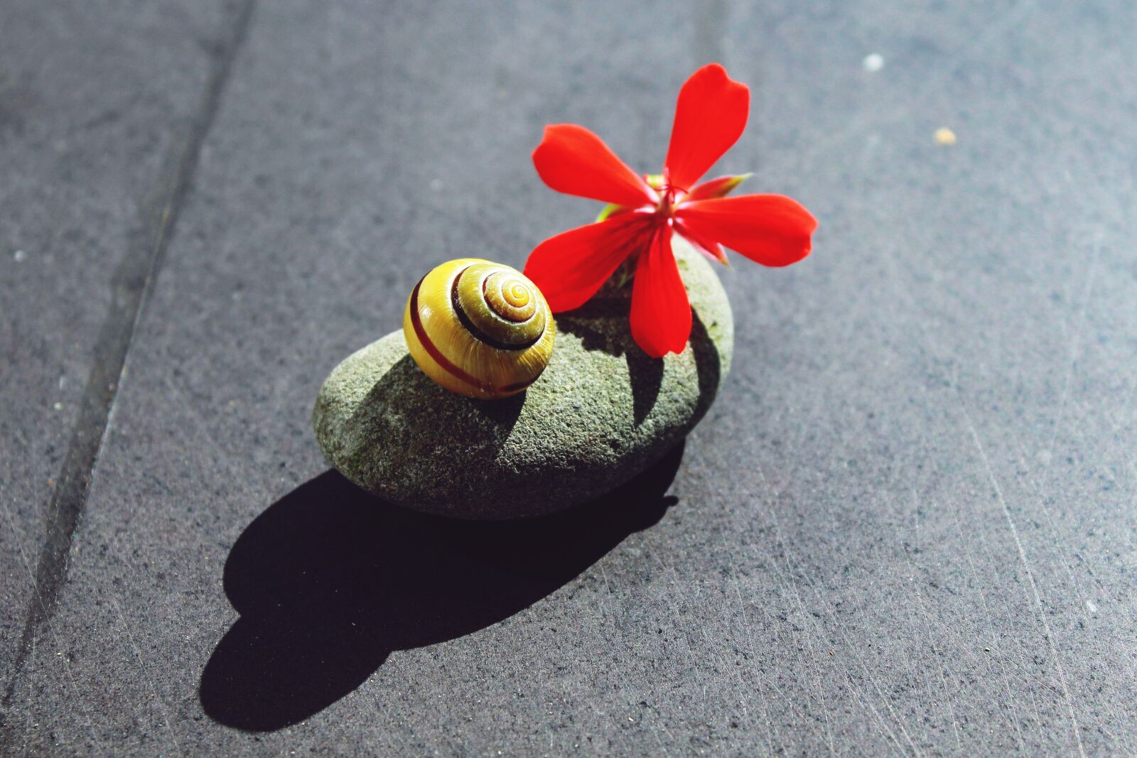 Canon EOS 1200D (EOS Rebel T5 / EOS Kiss X70 / EOS Hi) sample photo. Stone, close up, nature photography