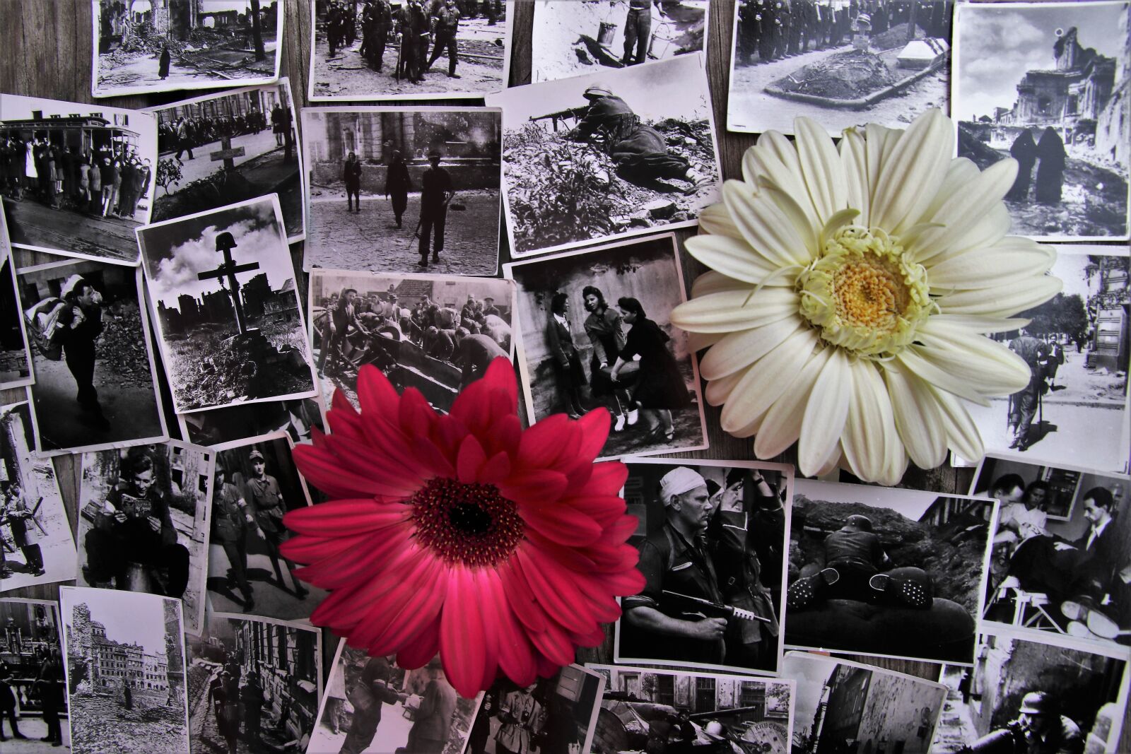 Canon EOS 80D sample photo. First, aug, 1944 photography