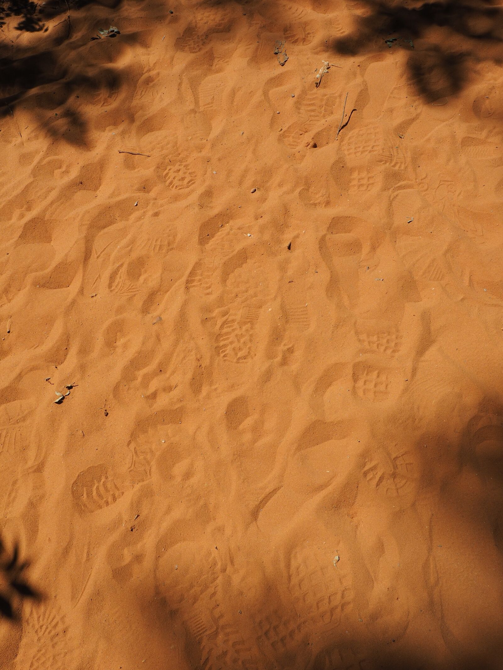 Olympus OM-D E-M1 + Olympus M.Zuiko Digital ED 12-40mm F2.8 Pro sample photo. Traces, sand, tracks in photography