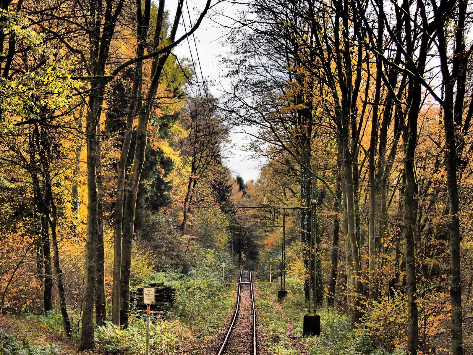 Olympus PEN E-PL3 sample photo. Rails, forest, autumn photography