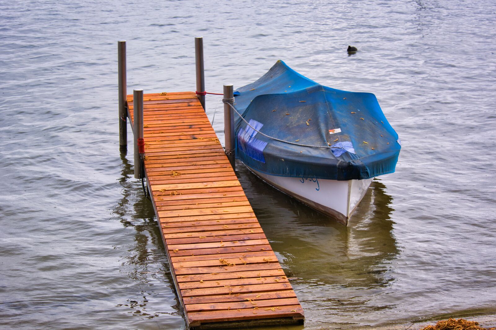 Nikon D7100 sample photo. Boat, bank, jetty photography