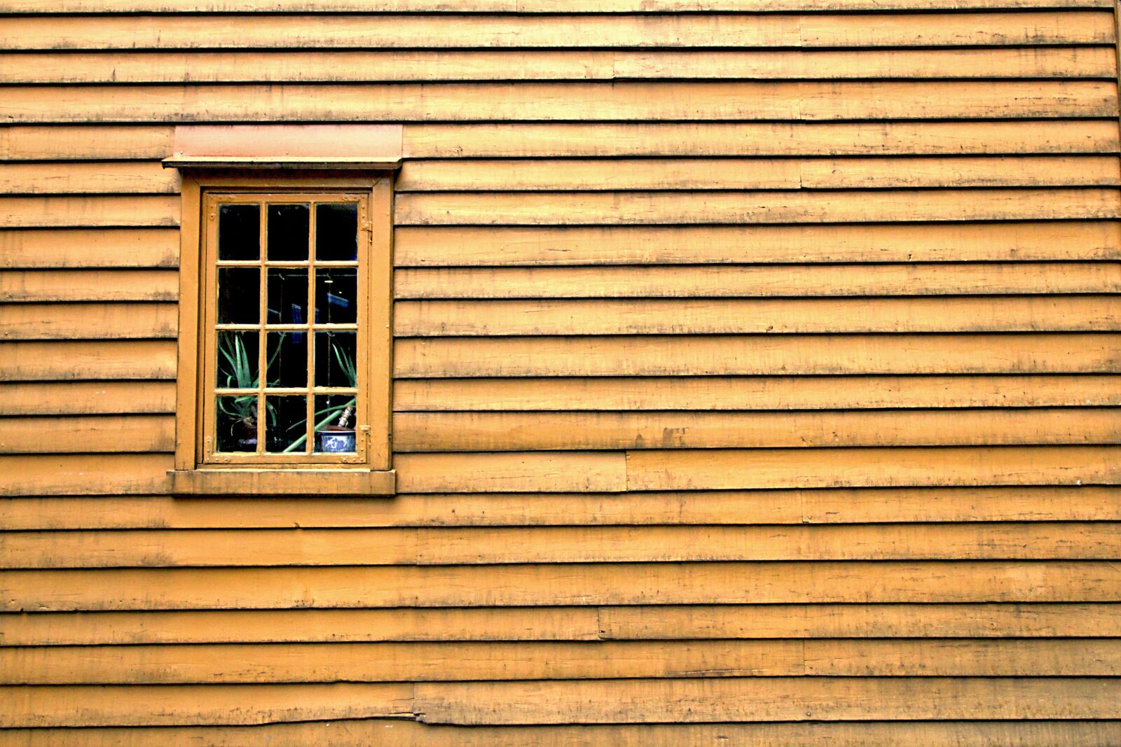 Canon EOS 60D + Canon EF-S 10-18mm F4.5–5.6 IS STM sample photo. Window, wood, yellow photography
