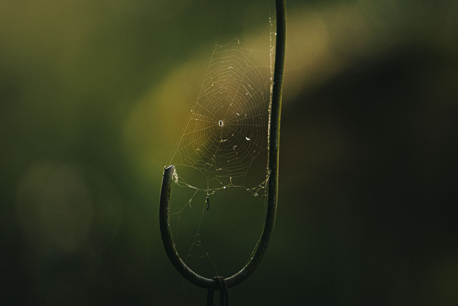 Sony a6500 sample photo
