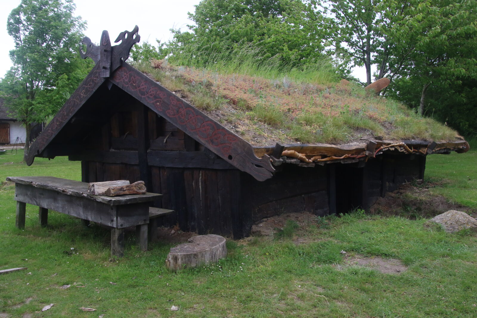Canon EOS 7D Mark II sample photo. Garden, grass, grass, roof photography
