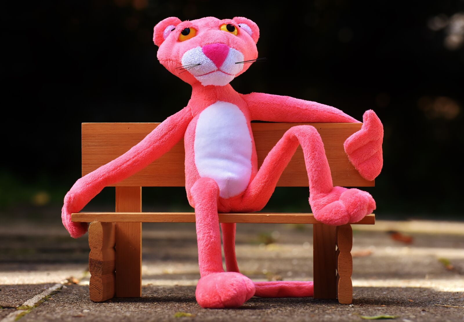 Nikon D7200 sample photo. Pink panther, bank, rest photography