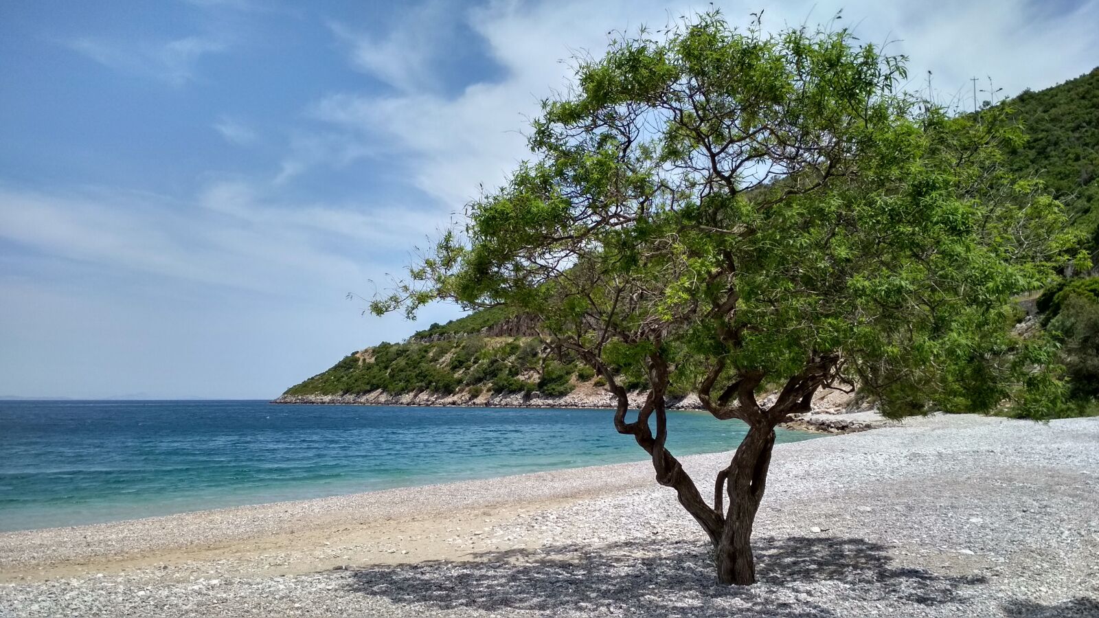 Xiaomi Redmi 4X sample photo. Tree, sea, beach photography
