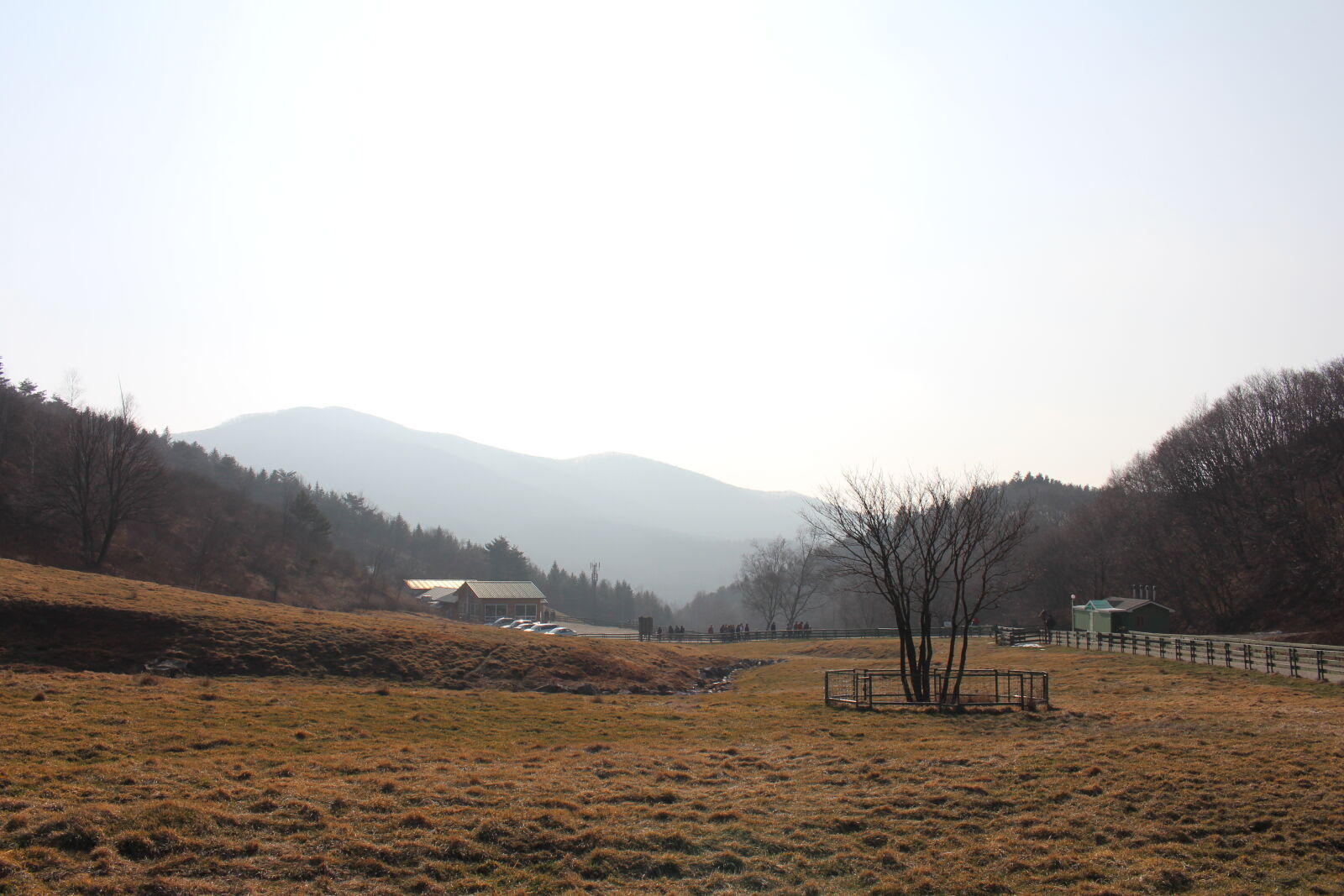 Canon EOS 700D (EOS Rebel T5i / EOS Kiss X7i) sample photo. Hill, korea, sheep, ranch photography