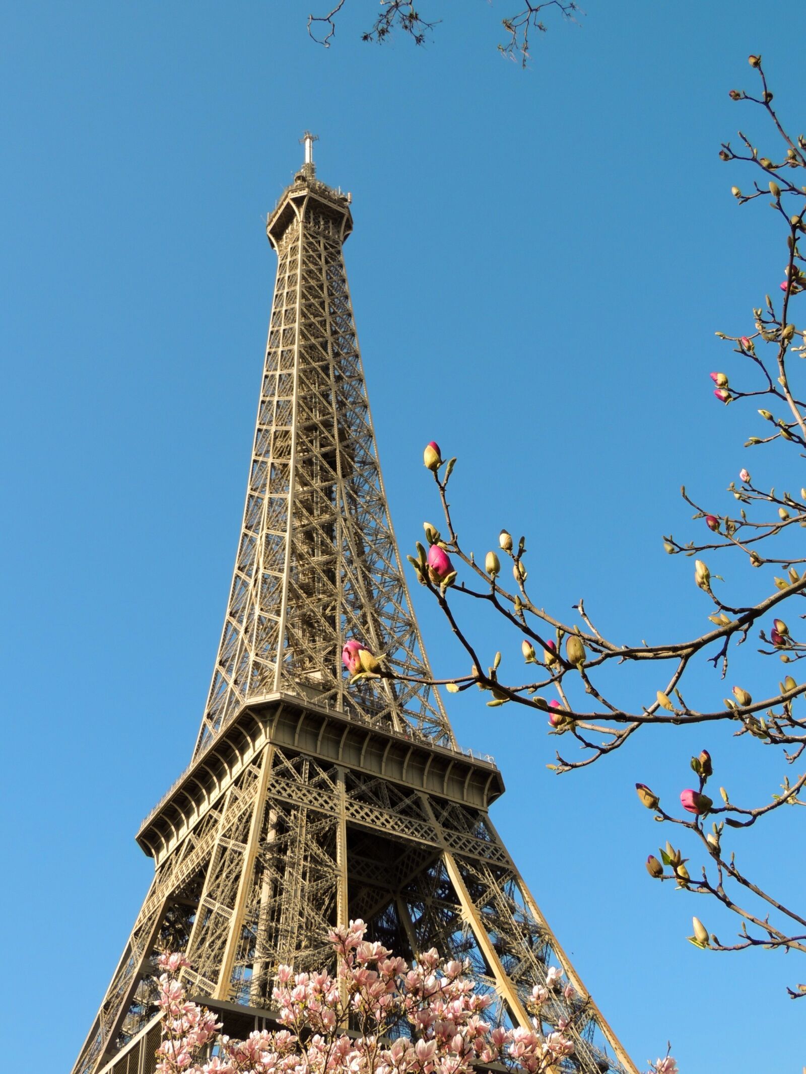 Nikon Coolpix P510 sample photo. Paris, eiffel tower, france photography