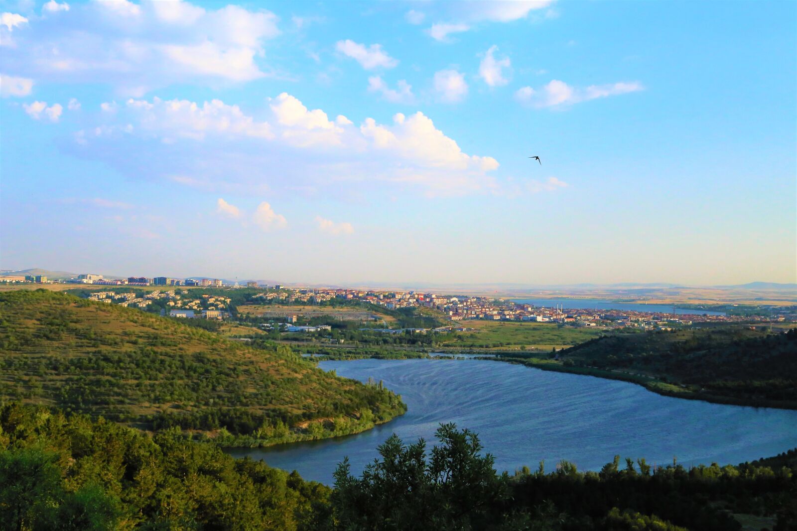 Canon EOS 6D + Canon EF 24-105mm F4L IS USM sample photo. Landscape, lake, city photography