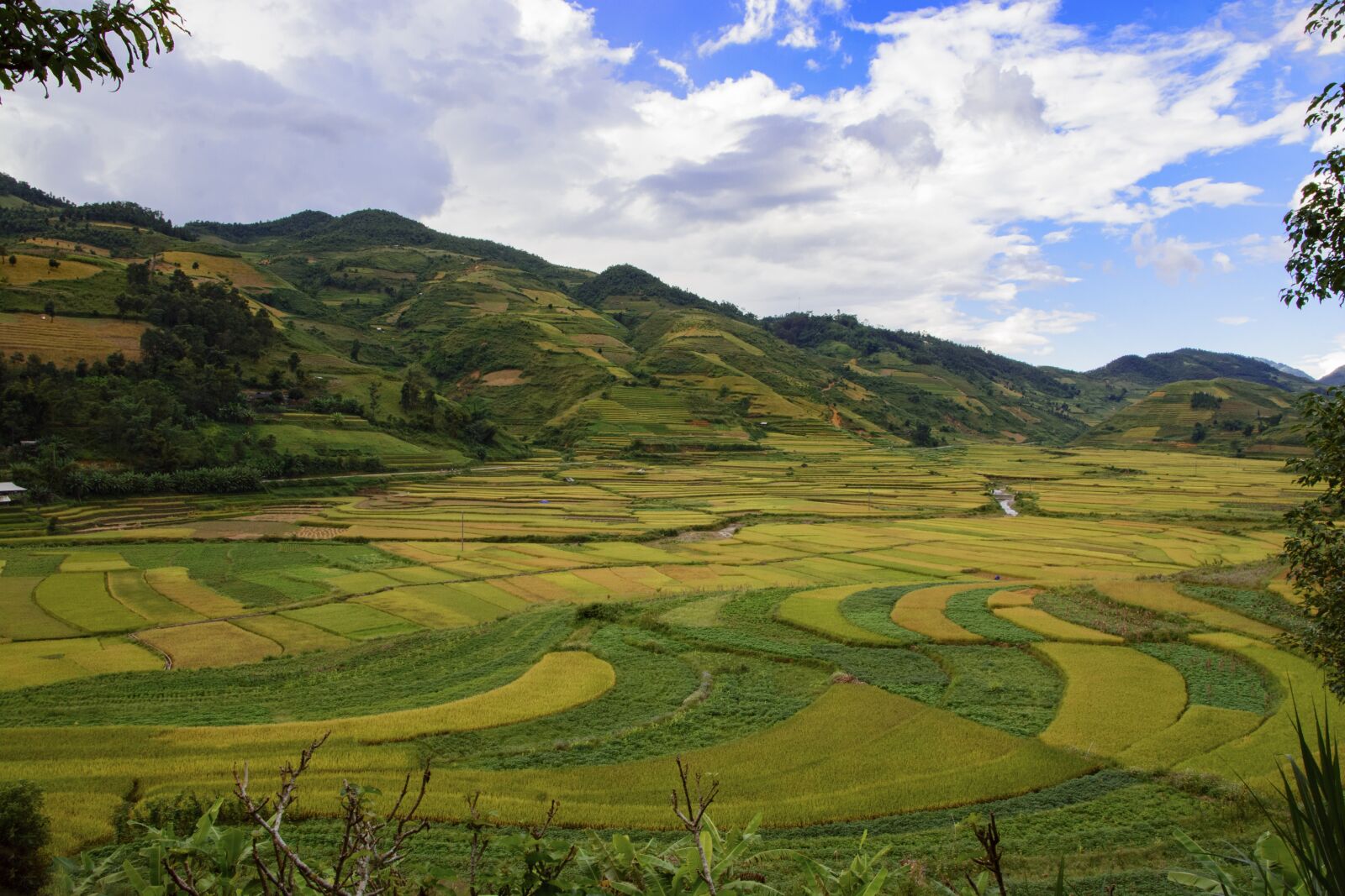 Nikon D7100 sample photo. Terraces, cooked rice, sunset photography