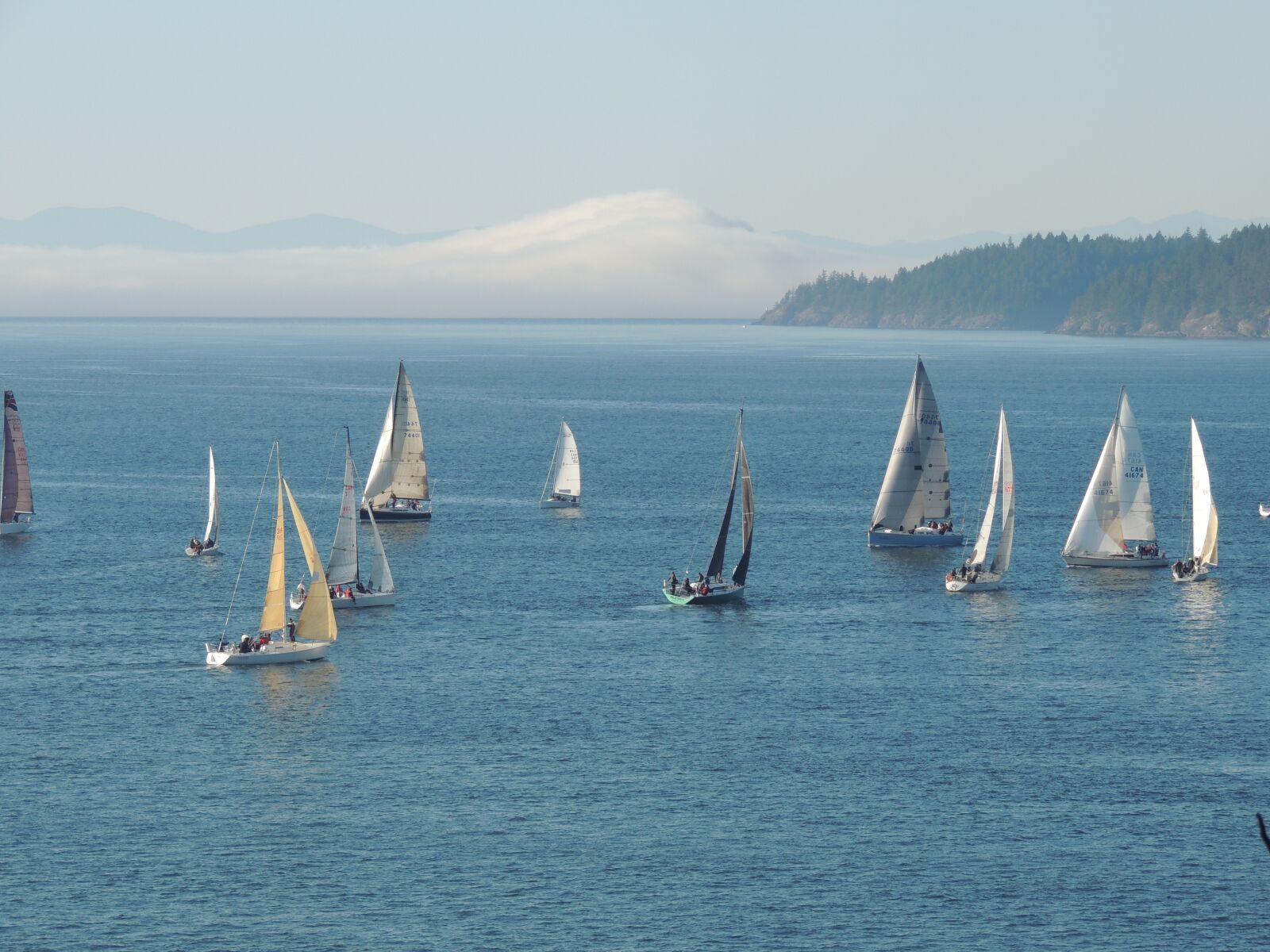 Nikon Coolpix P510 sample photo. Vancouver, sailboat, summer photography