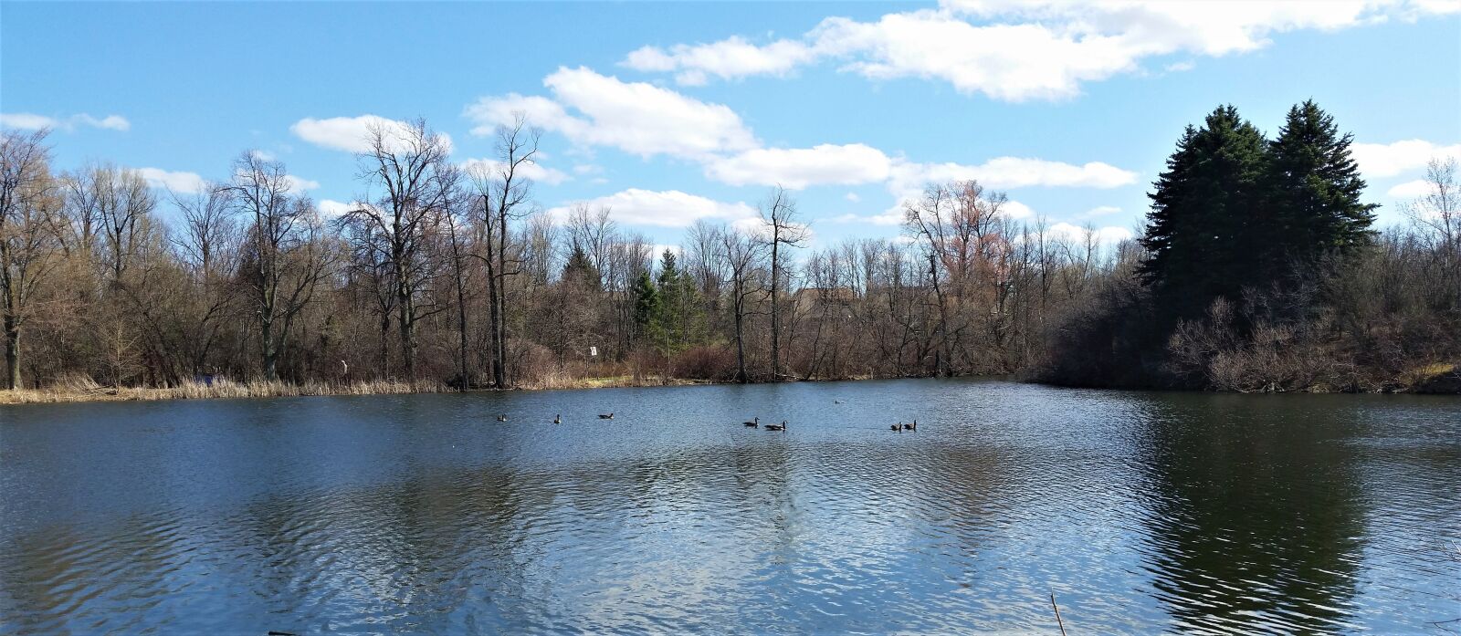 Samsung Galaxy S5 sample photo. Winter, noon, pond photography