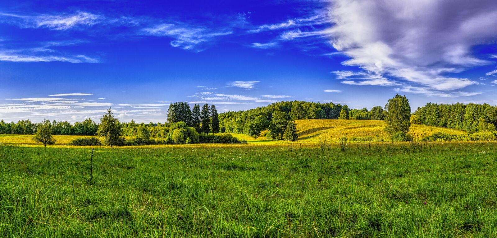 Sony a6300 + Sigma 30mm F2.8 EX DN sample photo. Panorama, landscape, bavaria photography
