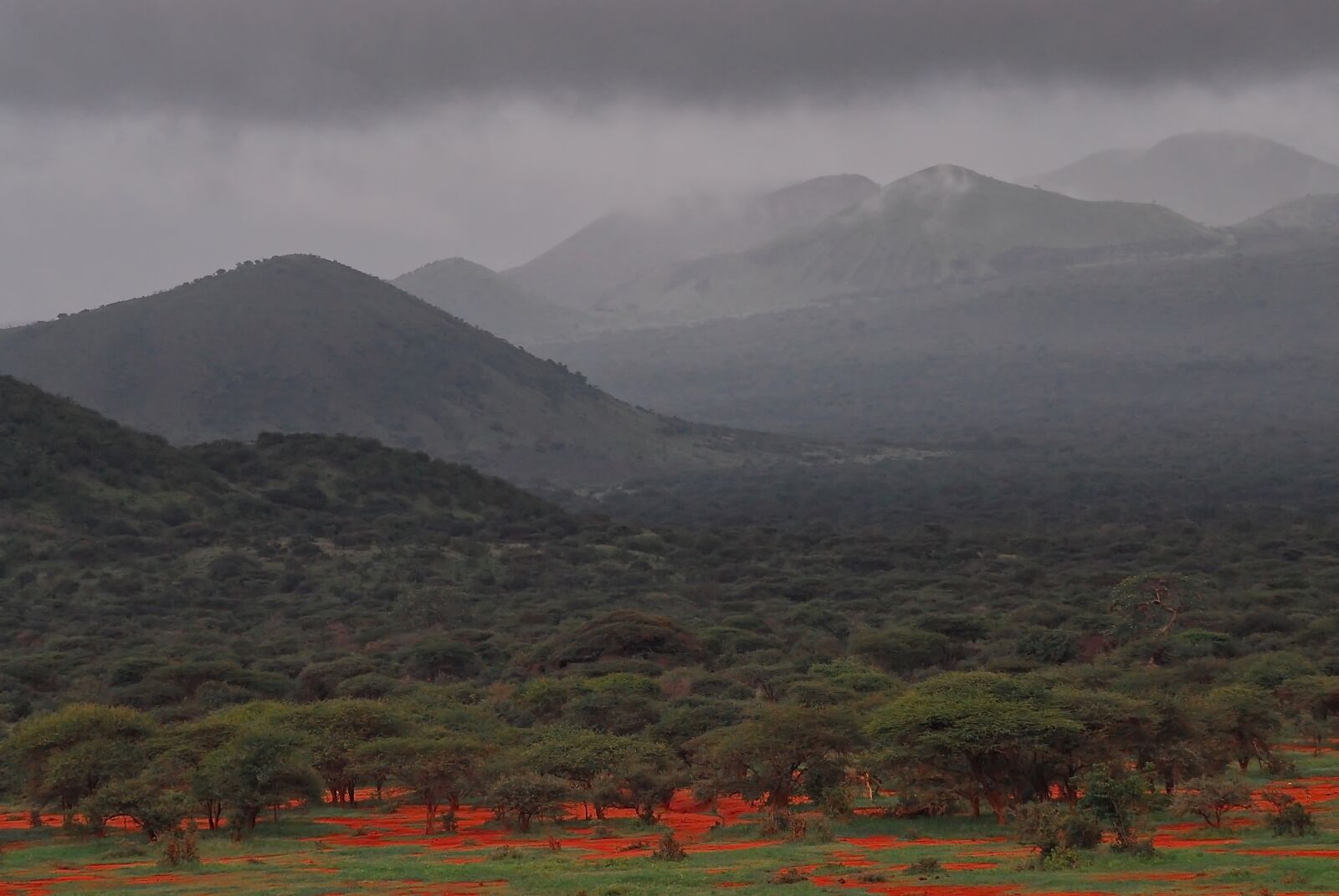 Nikon D200 sample photo. Tsavo, africa, wilderness photography