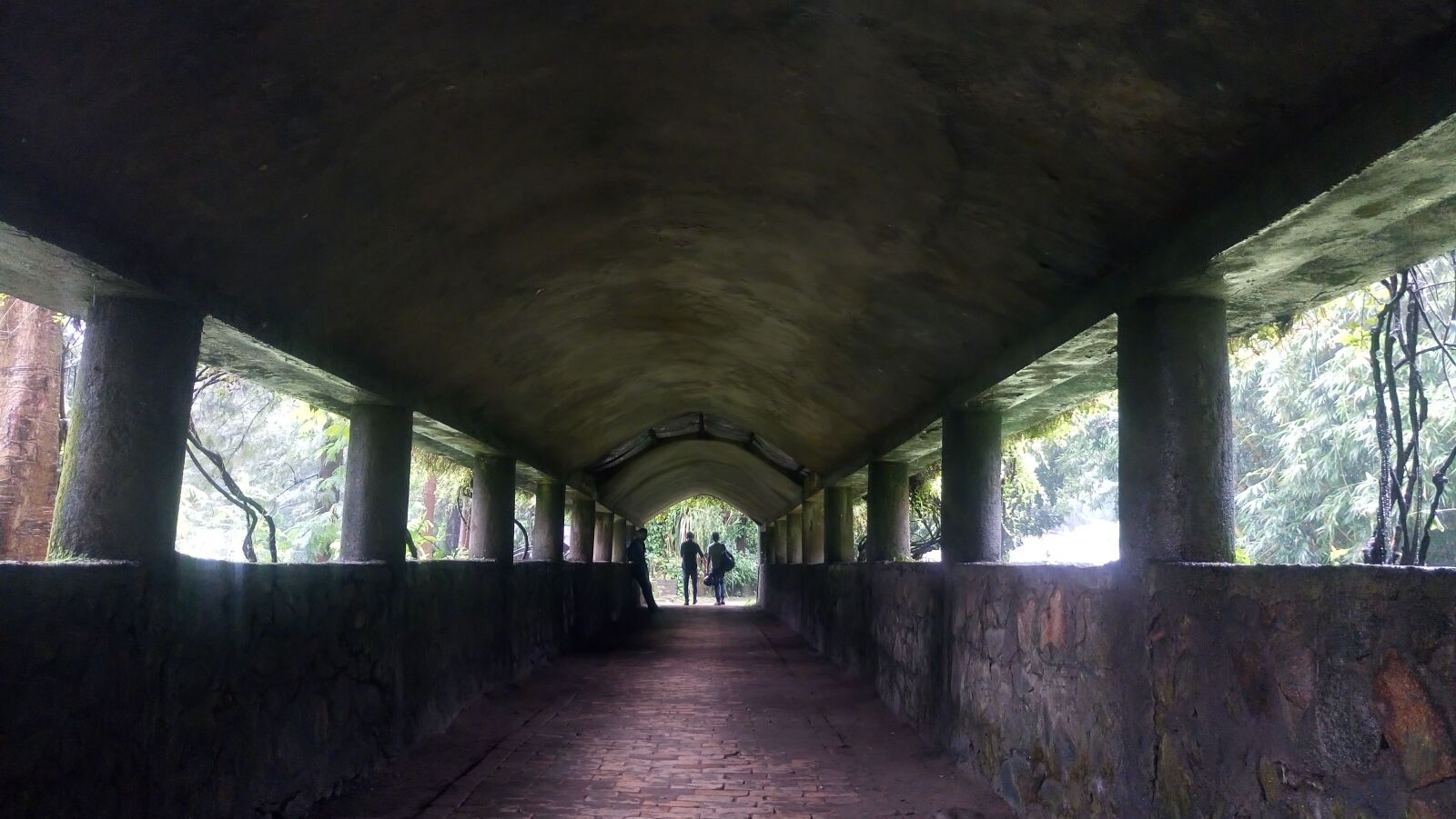 Sony Xperia M5 Dual sample photo