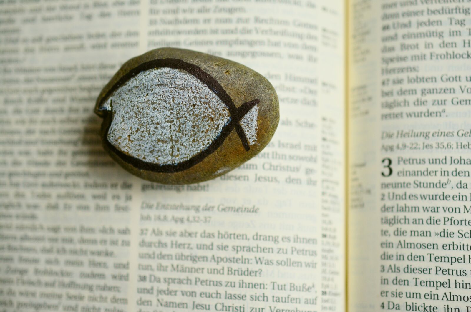 Nikon D5200 sample photo. Stone, symbol, fish symbol photography