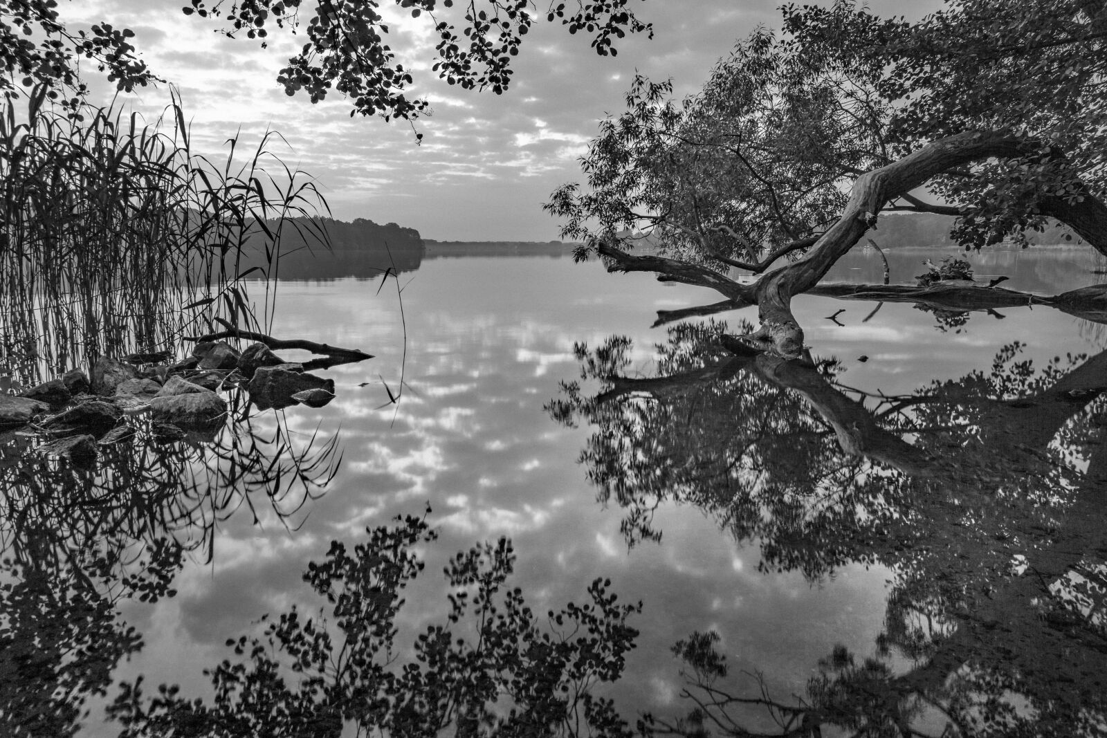Sony a6000 sample photo. Lake, idyll, idyllic photography
