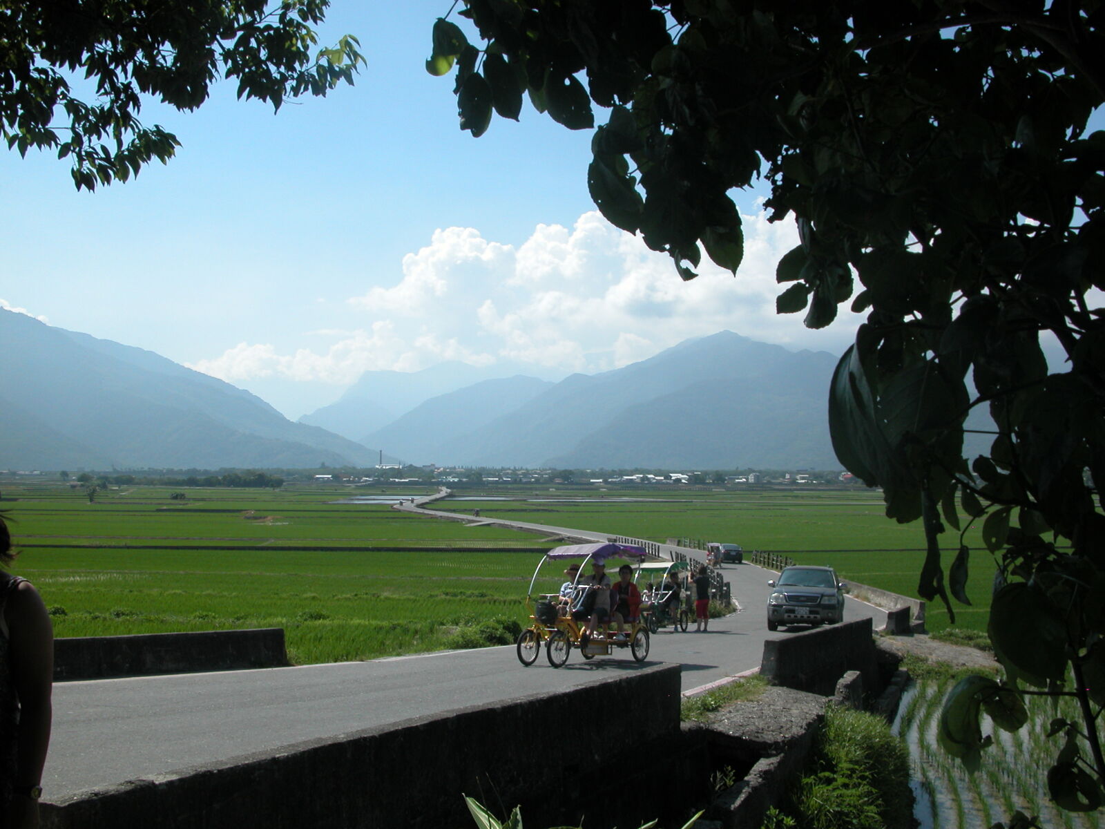 Nikon E5700 sample photo. Peddle, bikes, rice, paddies photography