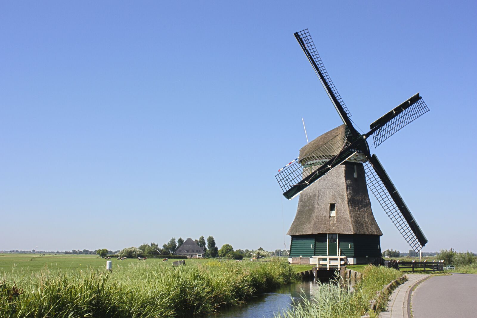 Canon EOS 450D (EOS Rebel XSi / EOS Kiss X2) sample photo. Holland, mill, sky photography