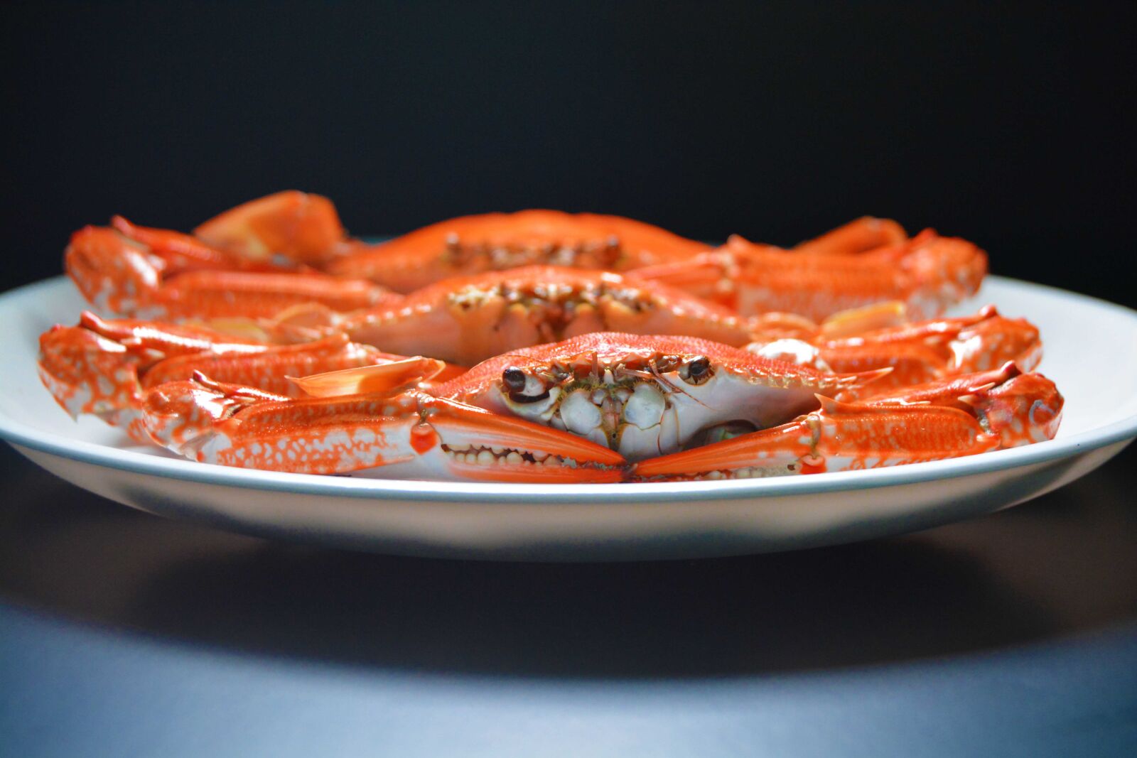 Nikon D5200 sample photo. Frozen blue swimming crabs photography