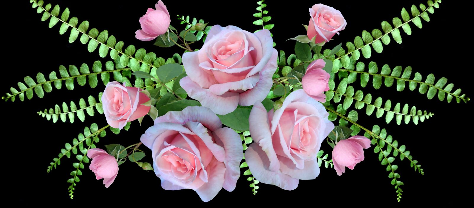 Olympus TG-5 sample photo. Roses, flowers, ferns photography