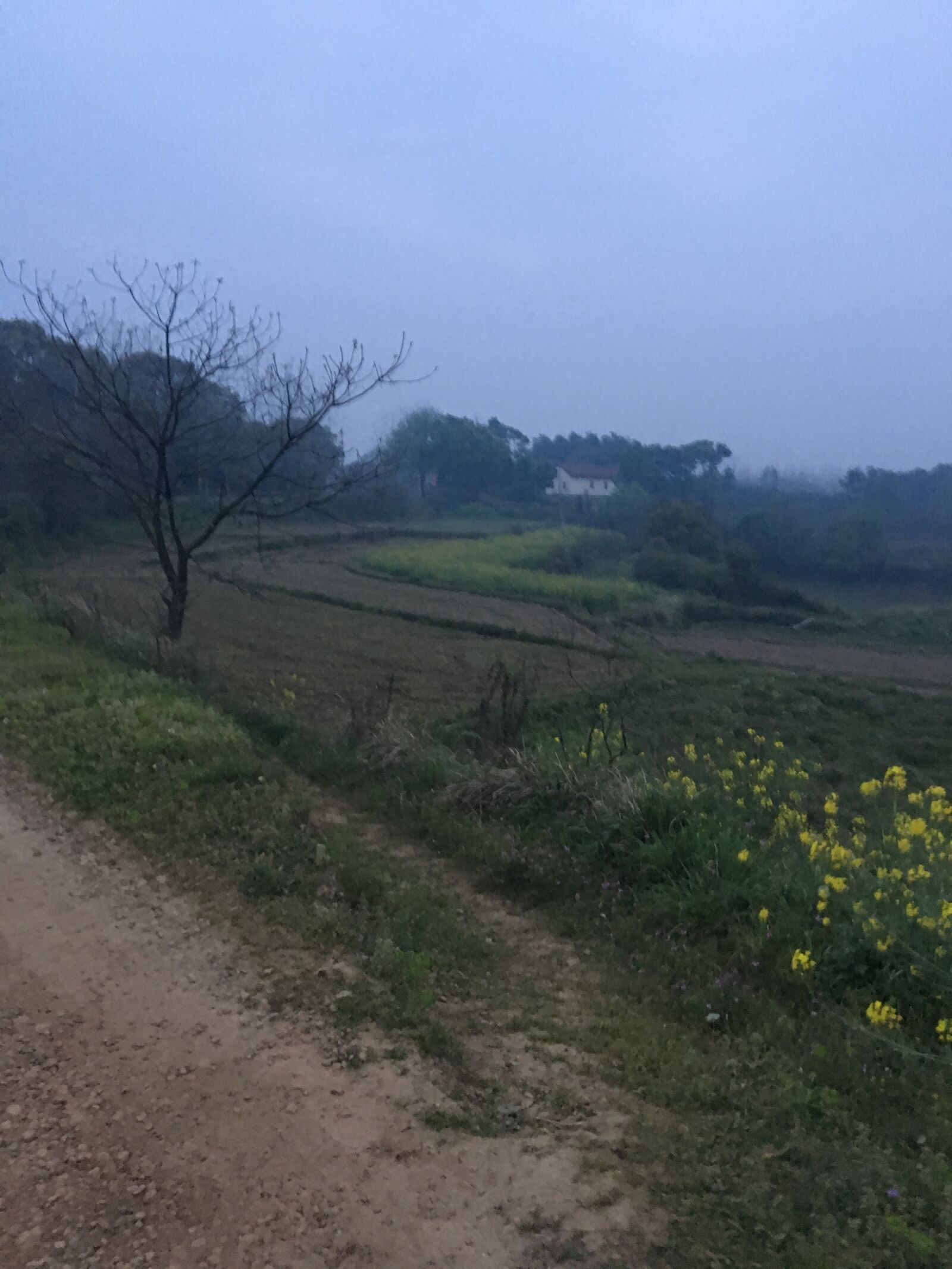 Apple iPhone 6s sample photo. Countryside, the scenery, in photography