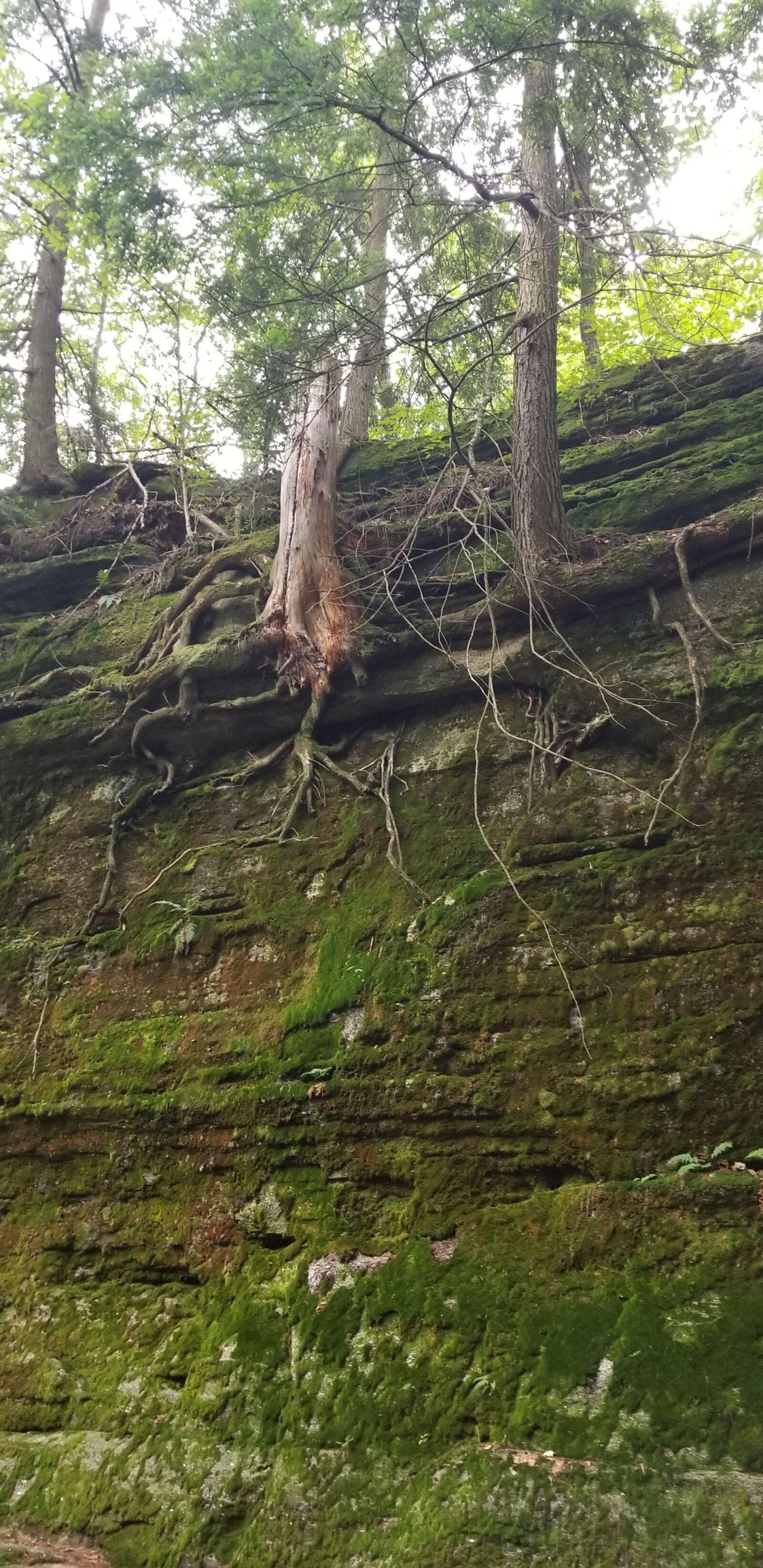 Samsung Galaxy S8 sample photo