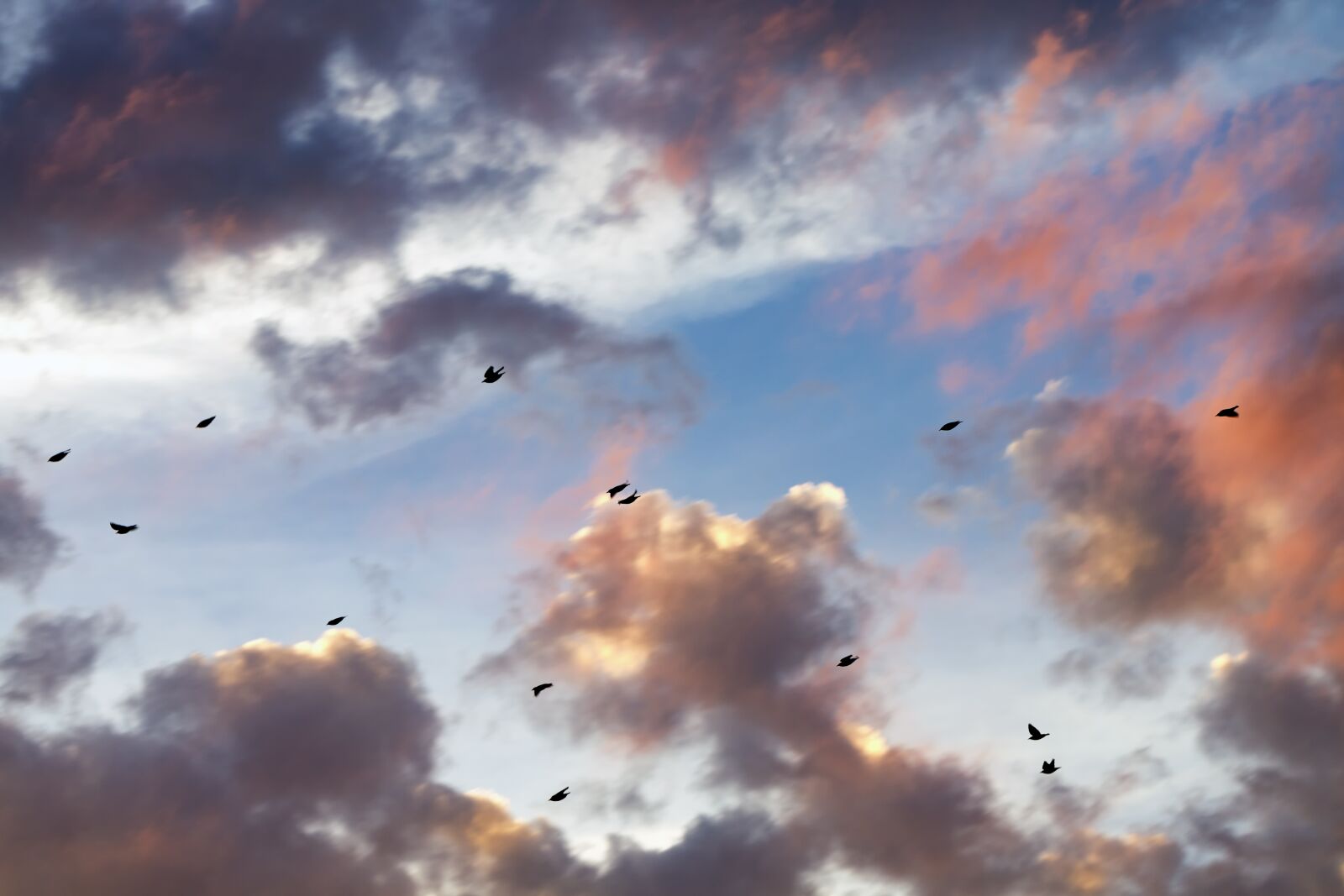 Canon EF 100mm F2.8L Macro IS USM sample photo. Sunset, clouds, cloudscape photography