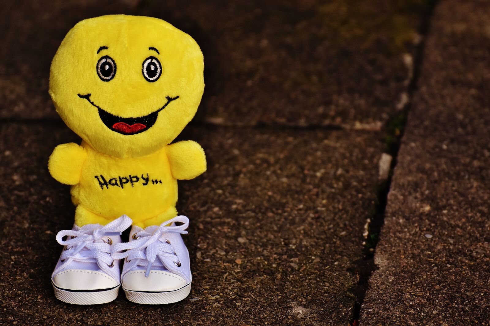 Nikon D7200 sample photo. Smiley, laugh, sneakers photography